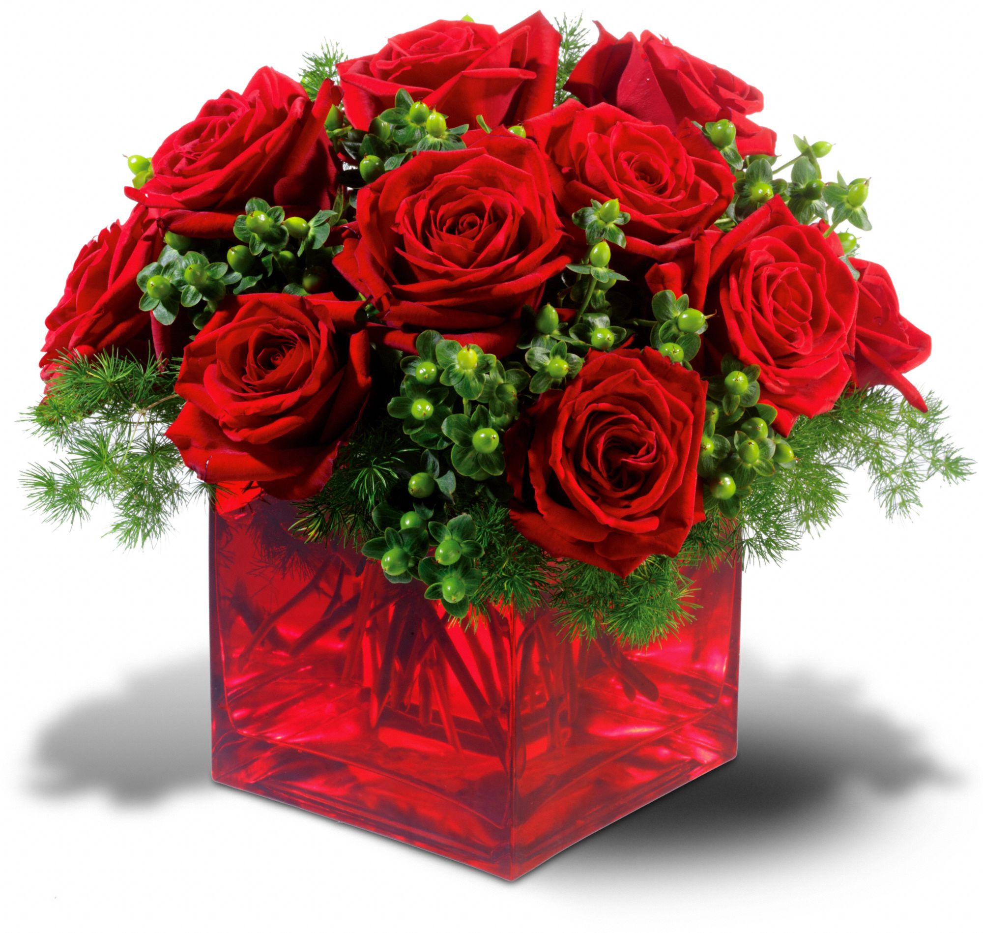 Merry Roses, picture
