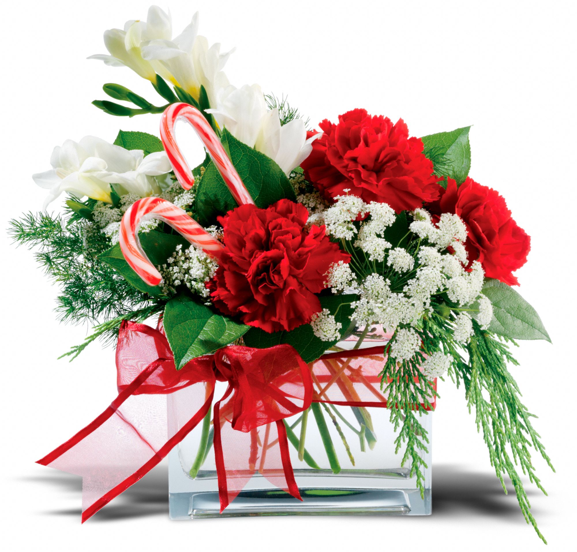 Teleflora's Peppermint Twist, picture