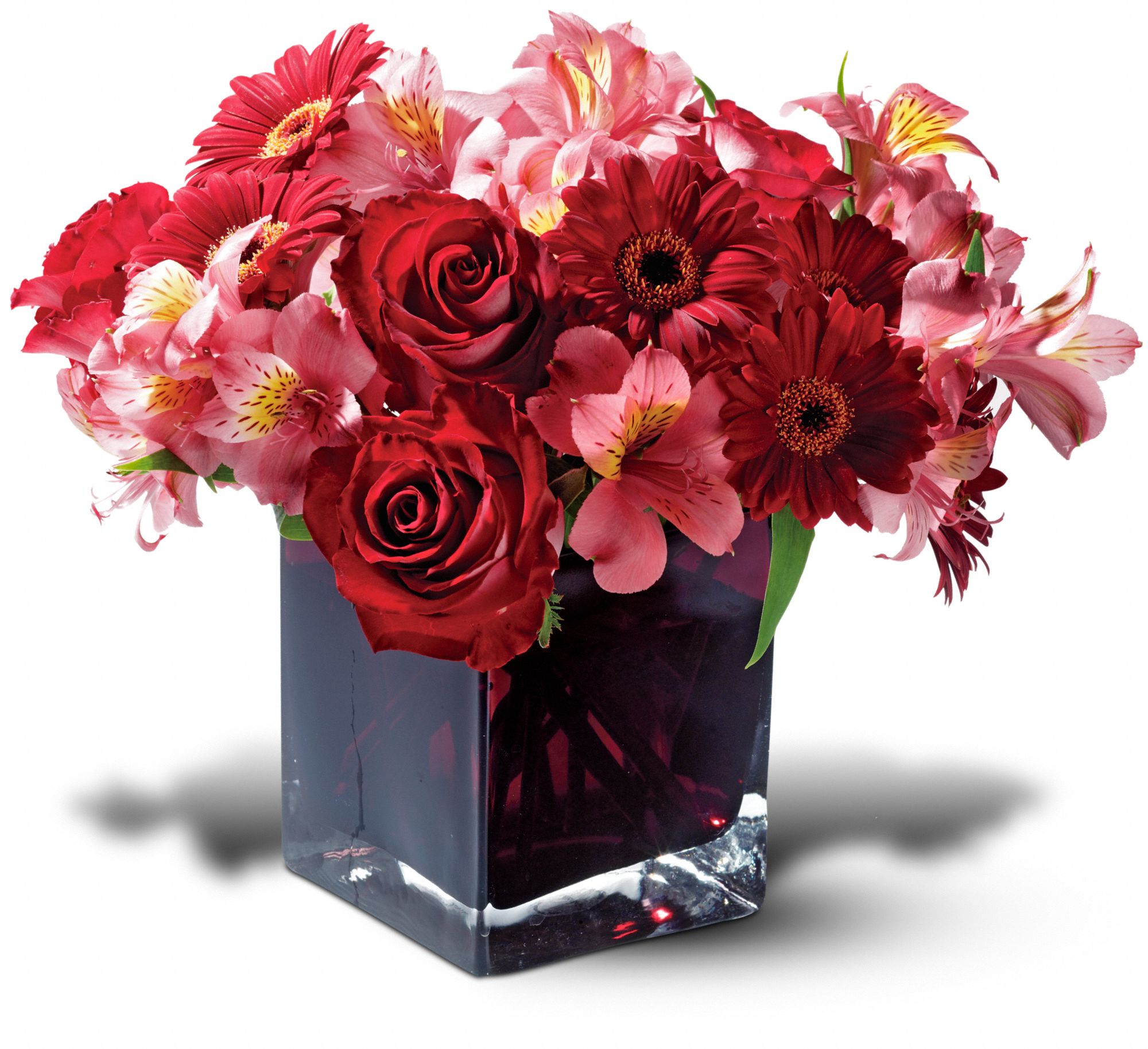 Teleflora's Wild Berry in Rapid City&nbsp;SD, Fancies Flowers