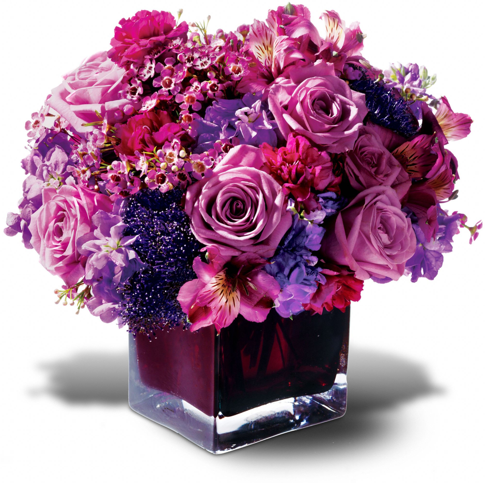 Teleflora's Plum Paradise Flowers