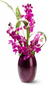 Purple Orchids - Loves Sweet Dream Orchids Flower Arrangement