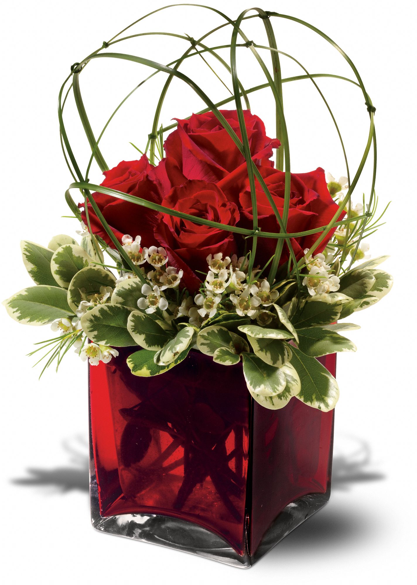 Teleflora's Universal Love, picture