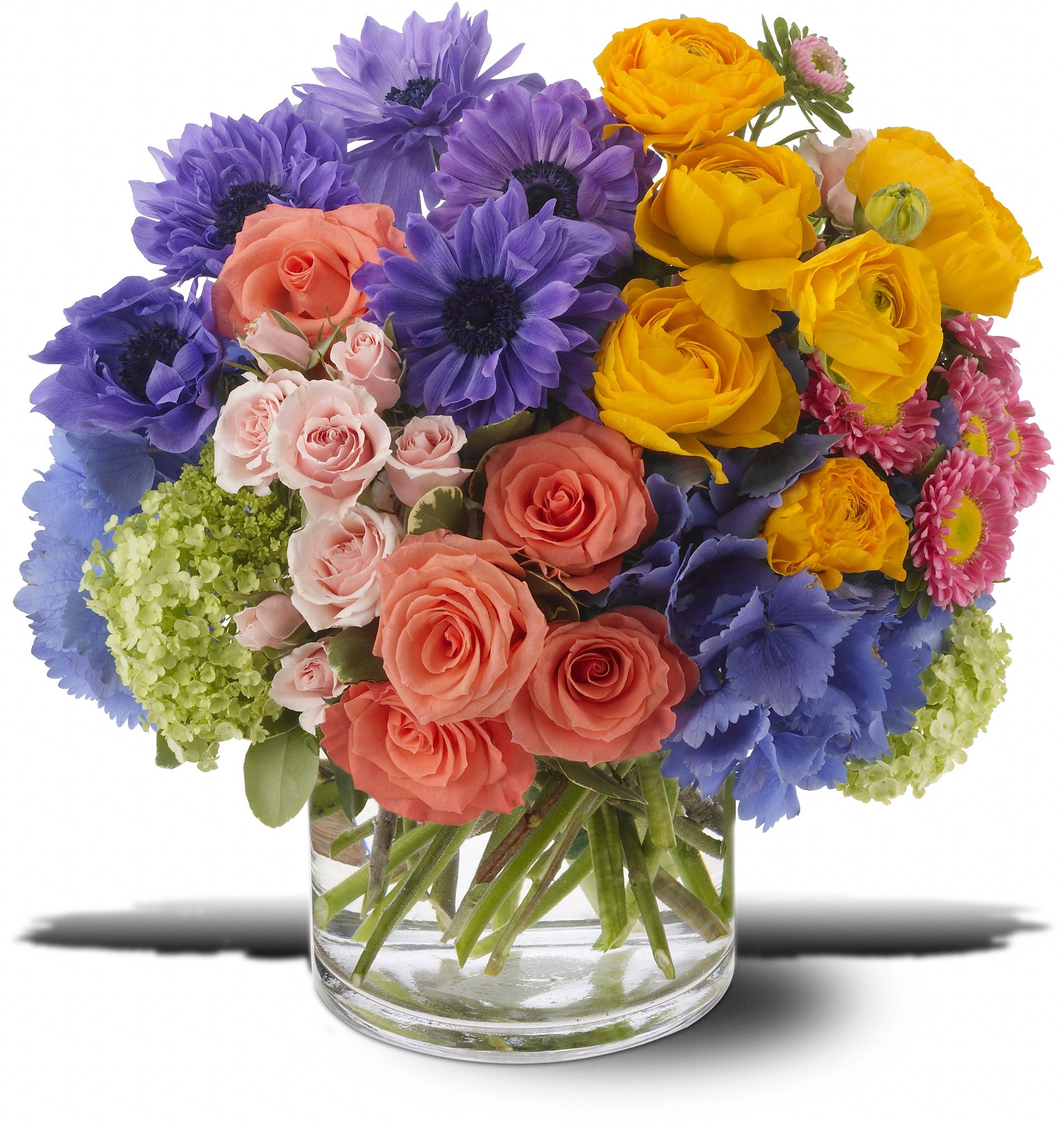 Spring Sonnet, picture