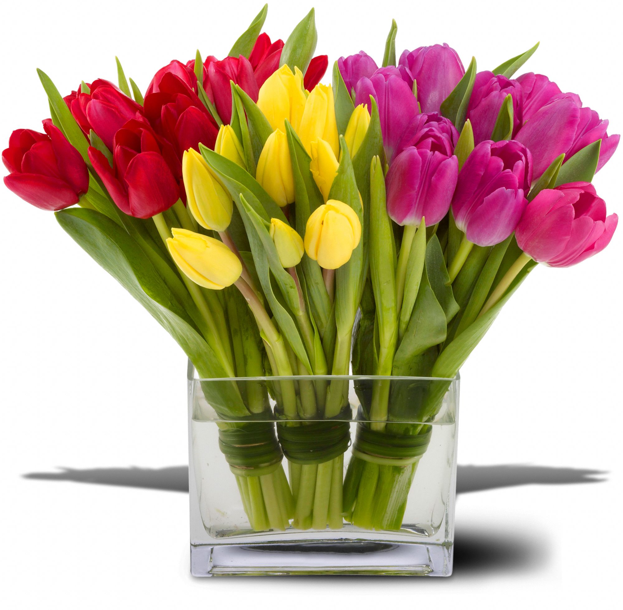 Teleflora's Tulips Together, picture