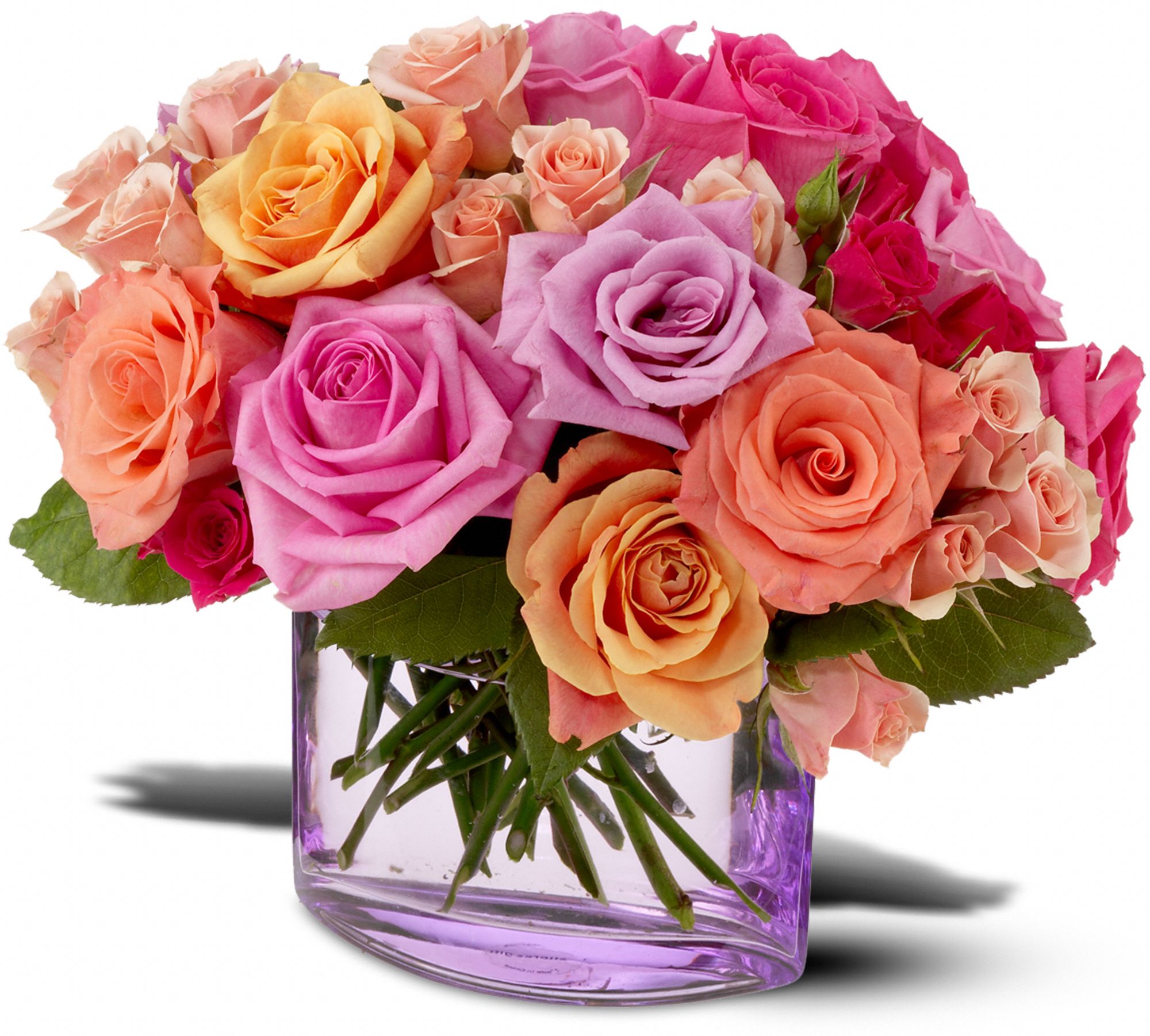 Teleflora's Rose Harmony graphic