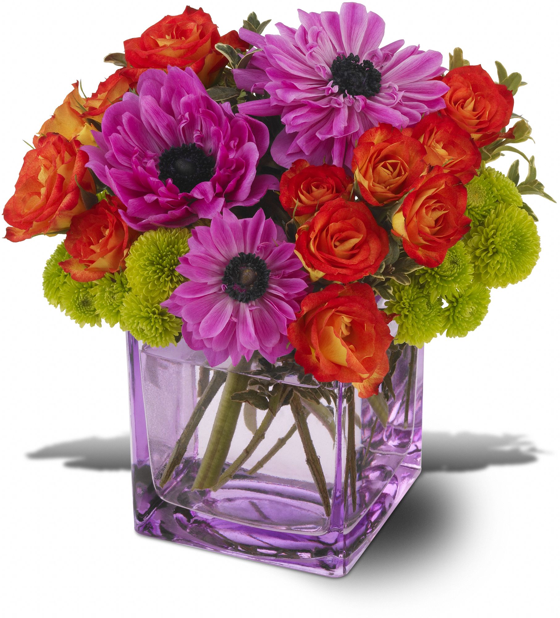 Teleflora's Brilliant Blossoms, picture