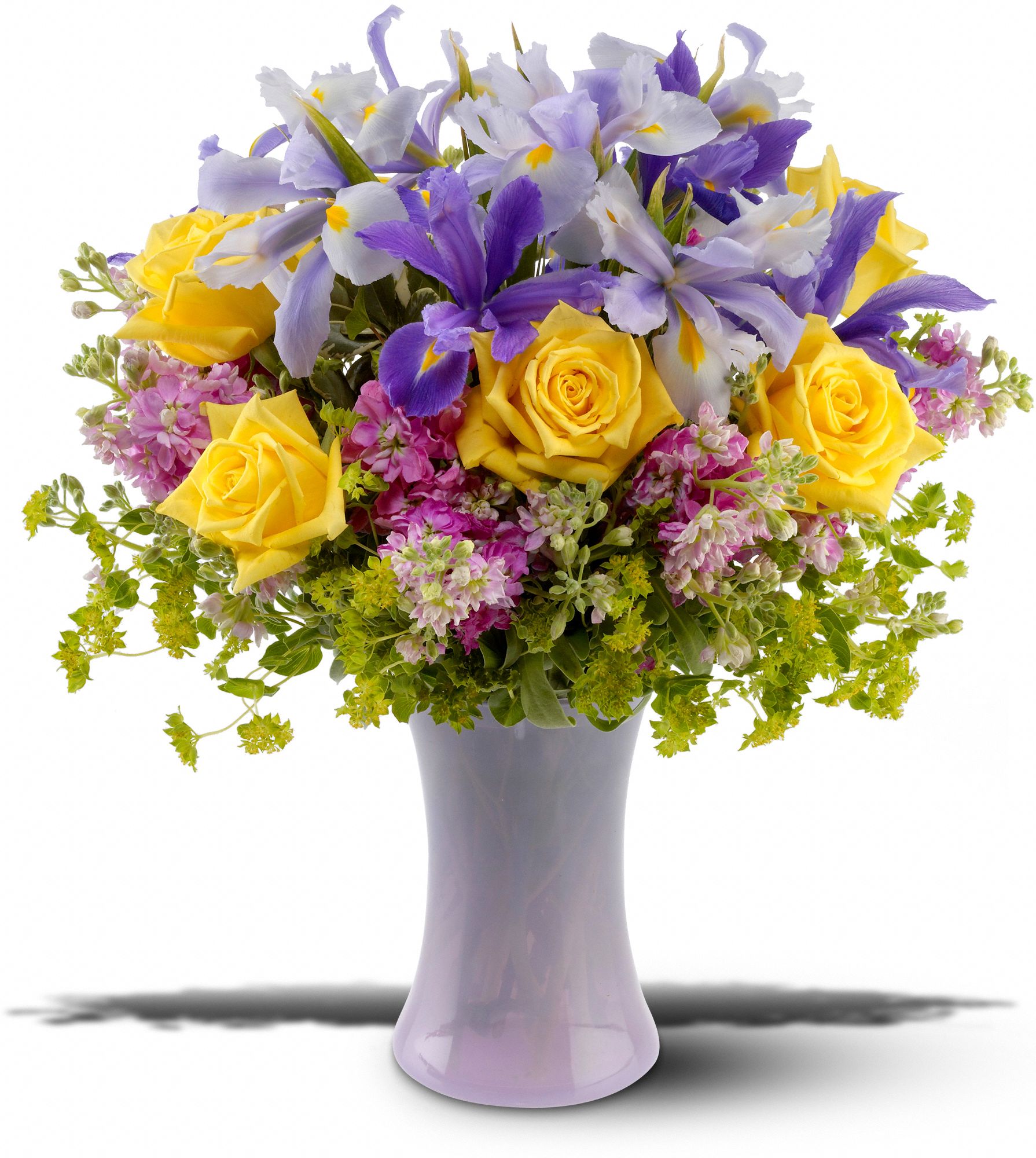 Lavender Sunshine, picture