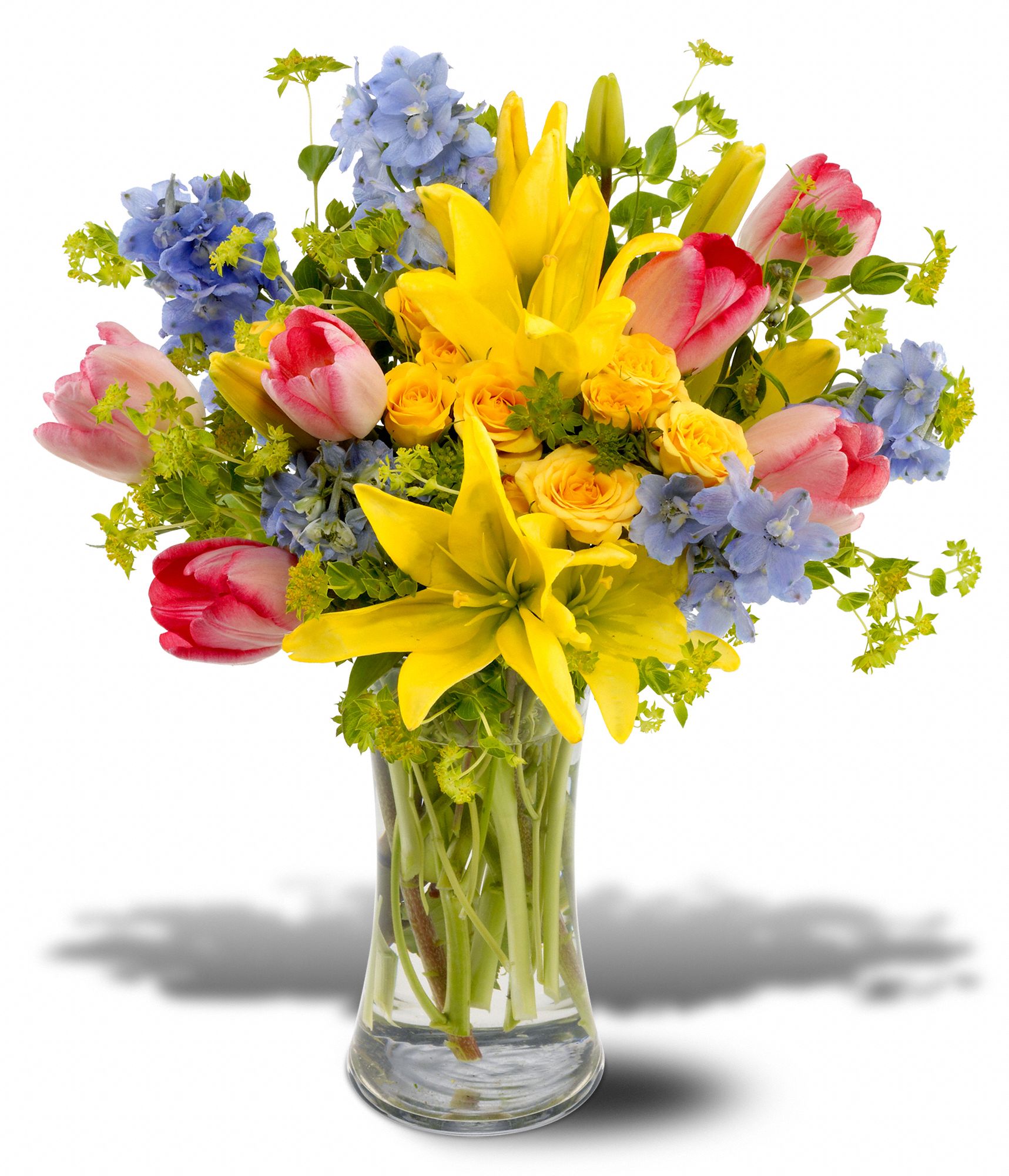 Spring Delight, picture