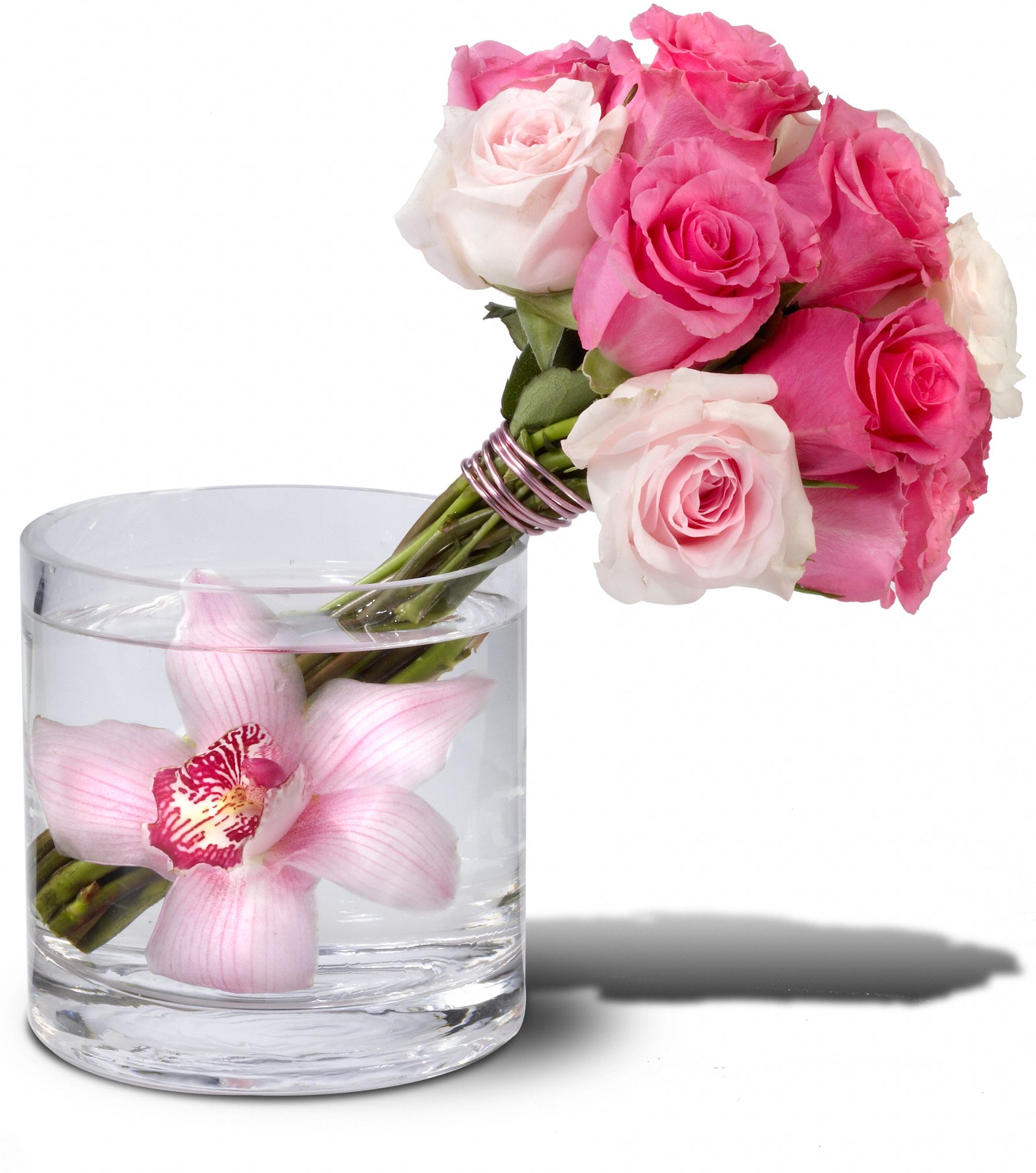 Beauty Bunch graphic
