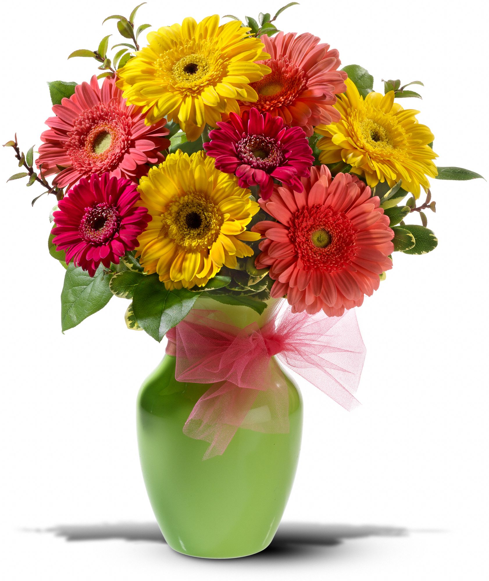 Daisy Dazzle, picture