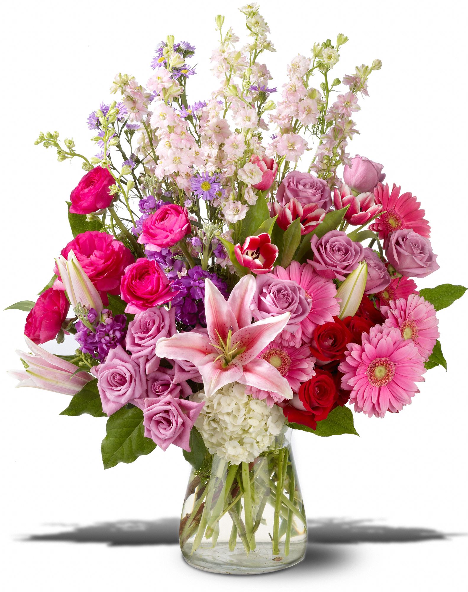 Sweet Symphony, picture