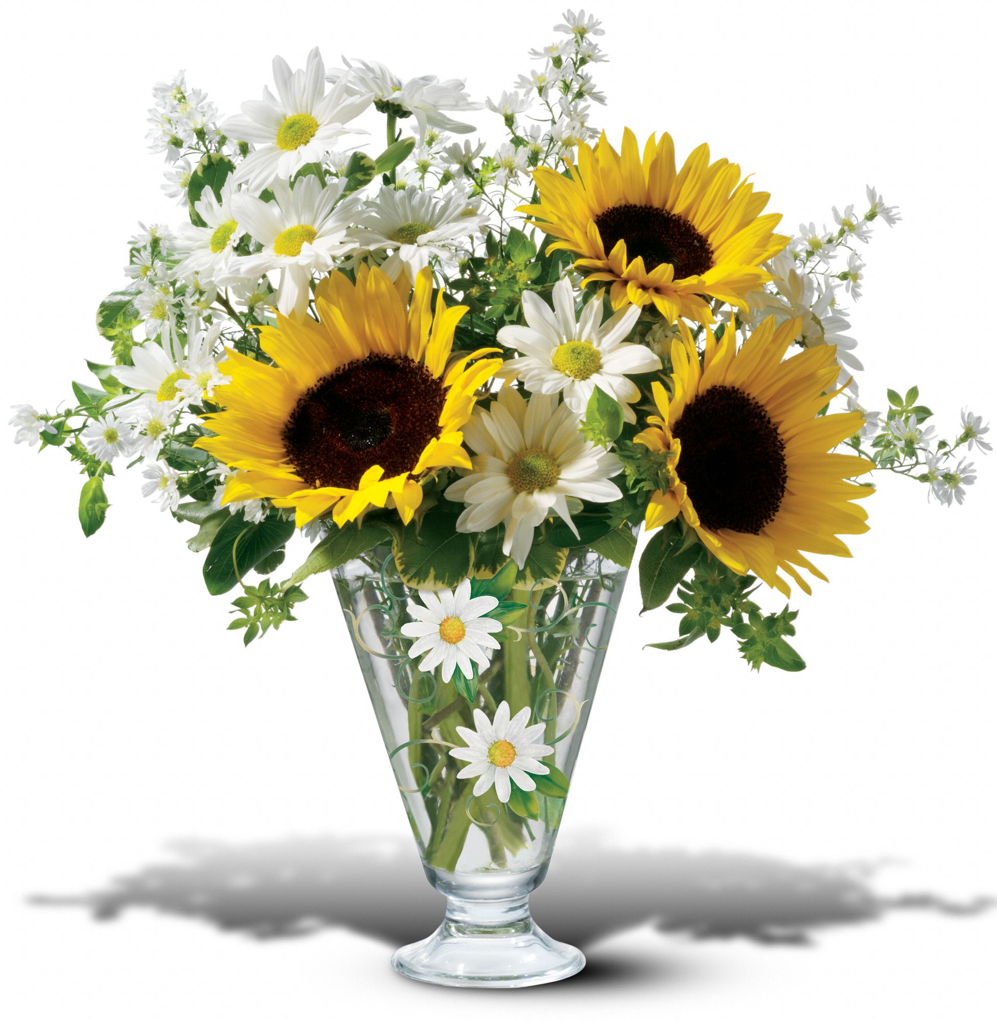 Teleflora's Delicate Daisy Bouquet in Mansfield&nbsp;OH, Antique Rose Florist