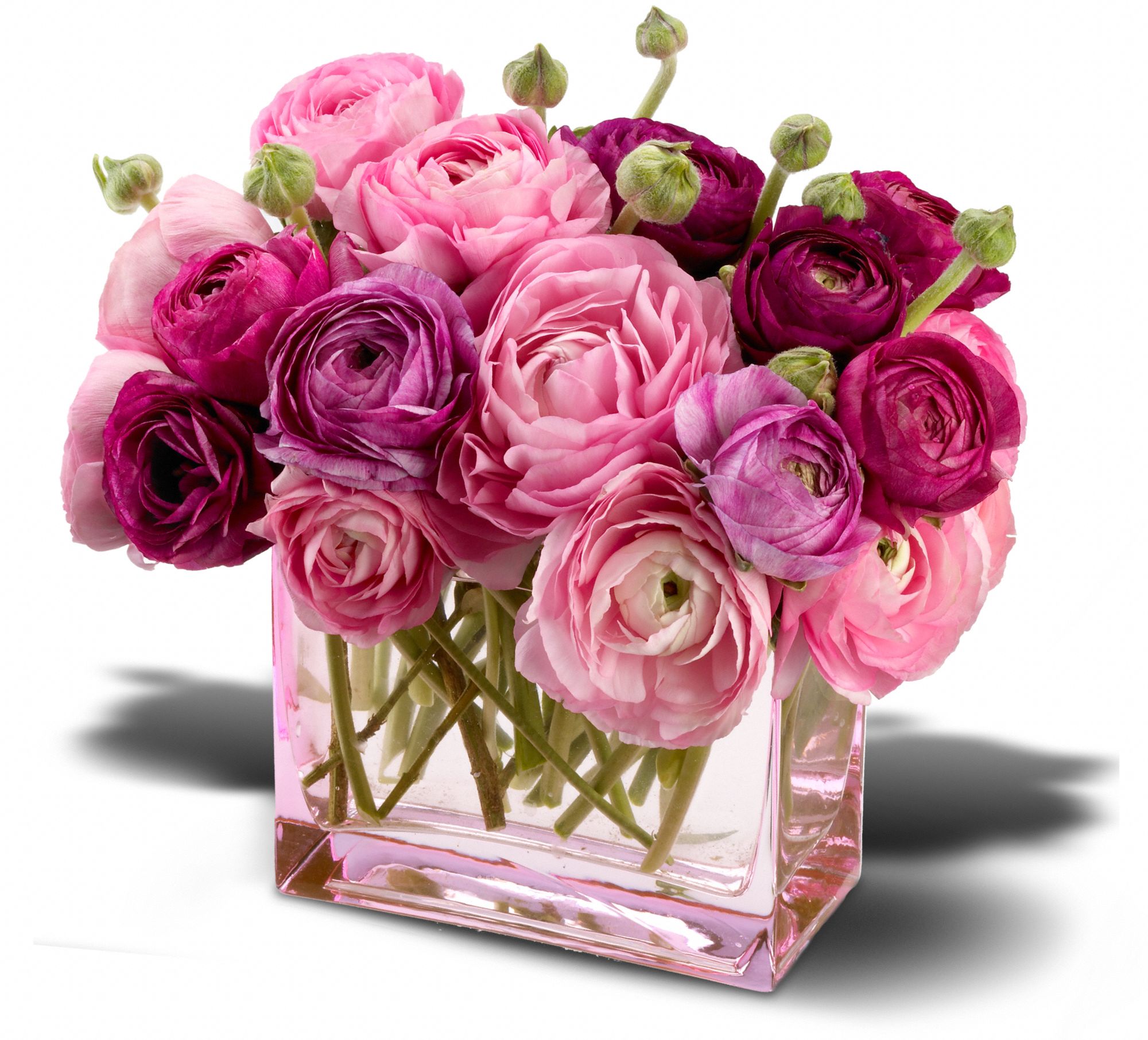 Teleflora's Petals In Pink in Philadelphia&nbsp;PA, Al Axelrod Flowers, Inc