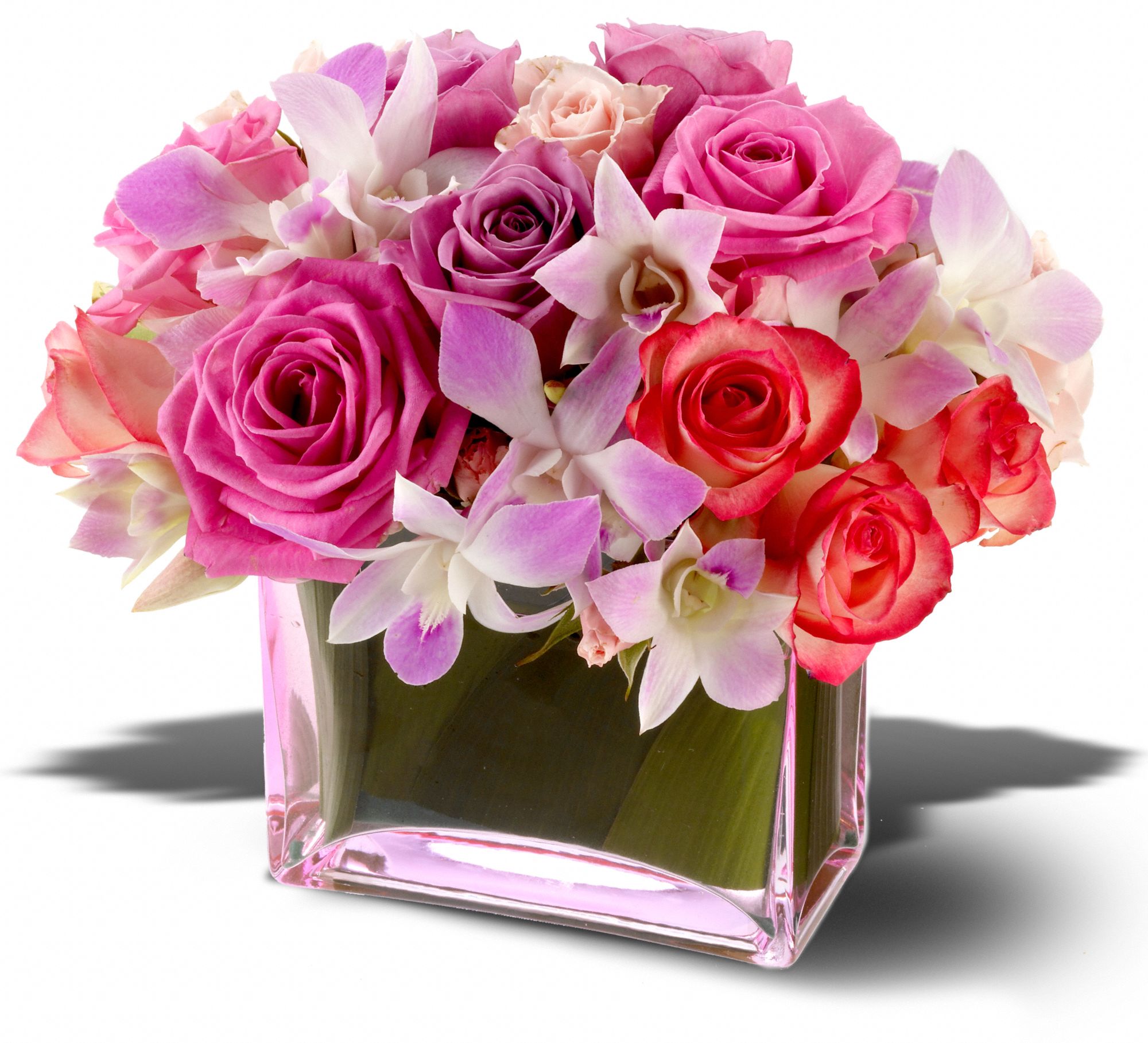 Teleflora's Butterfly Kisses graphic