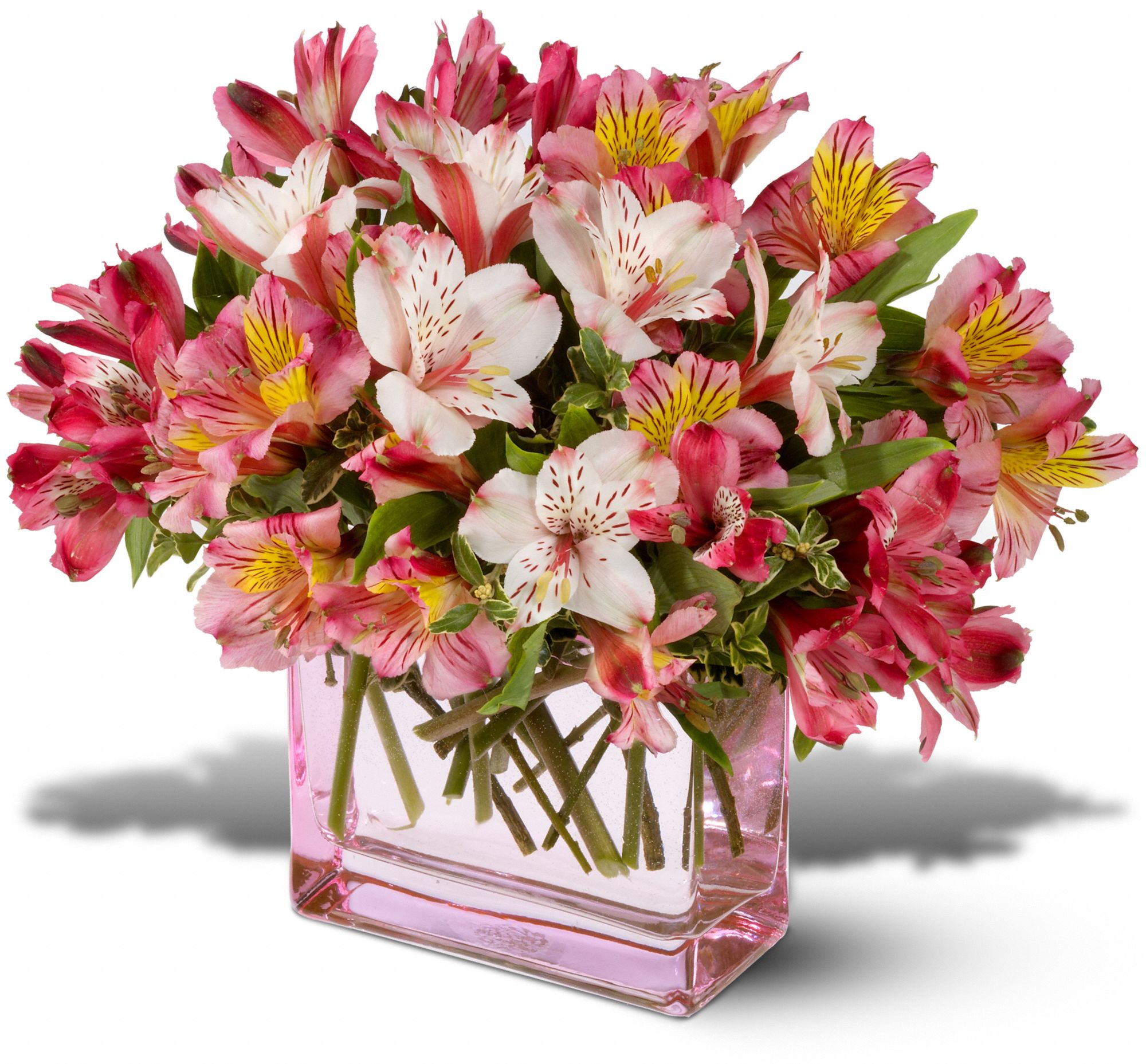 Teleflora's Always Alstroemeria, picture