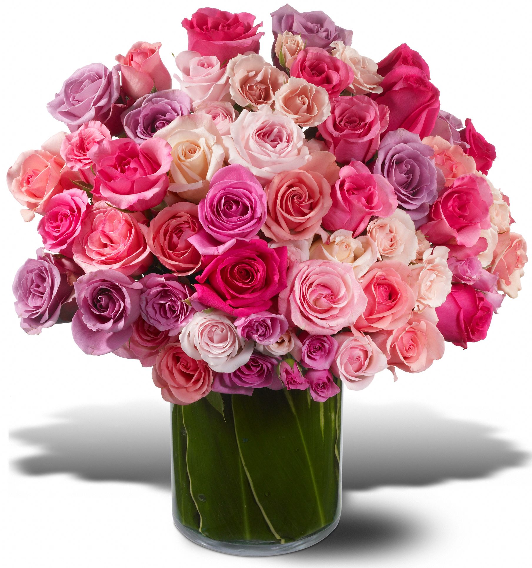 All My Love, picture