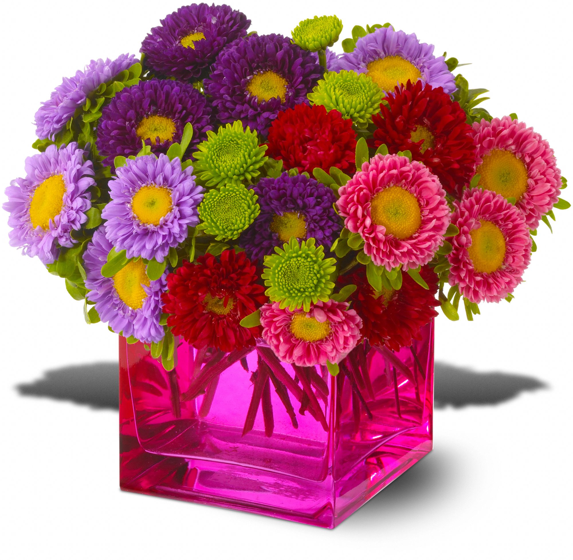Mad about Magenta, picture