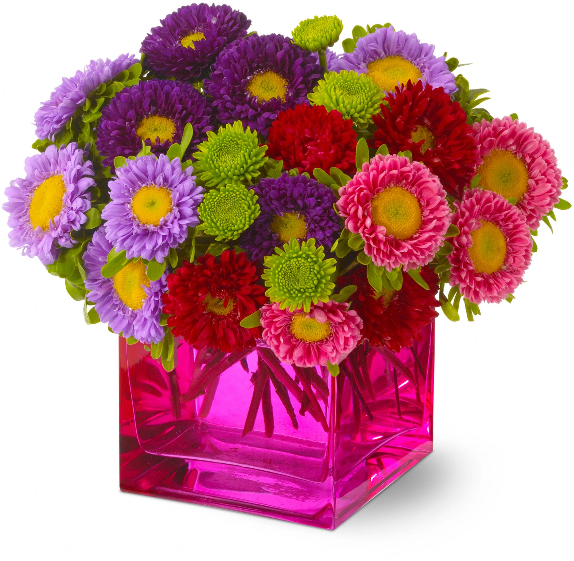 Mad about Magenta Flowers