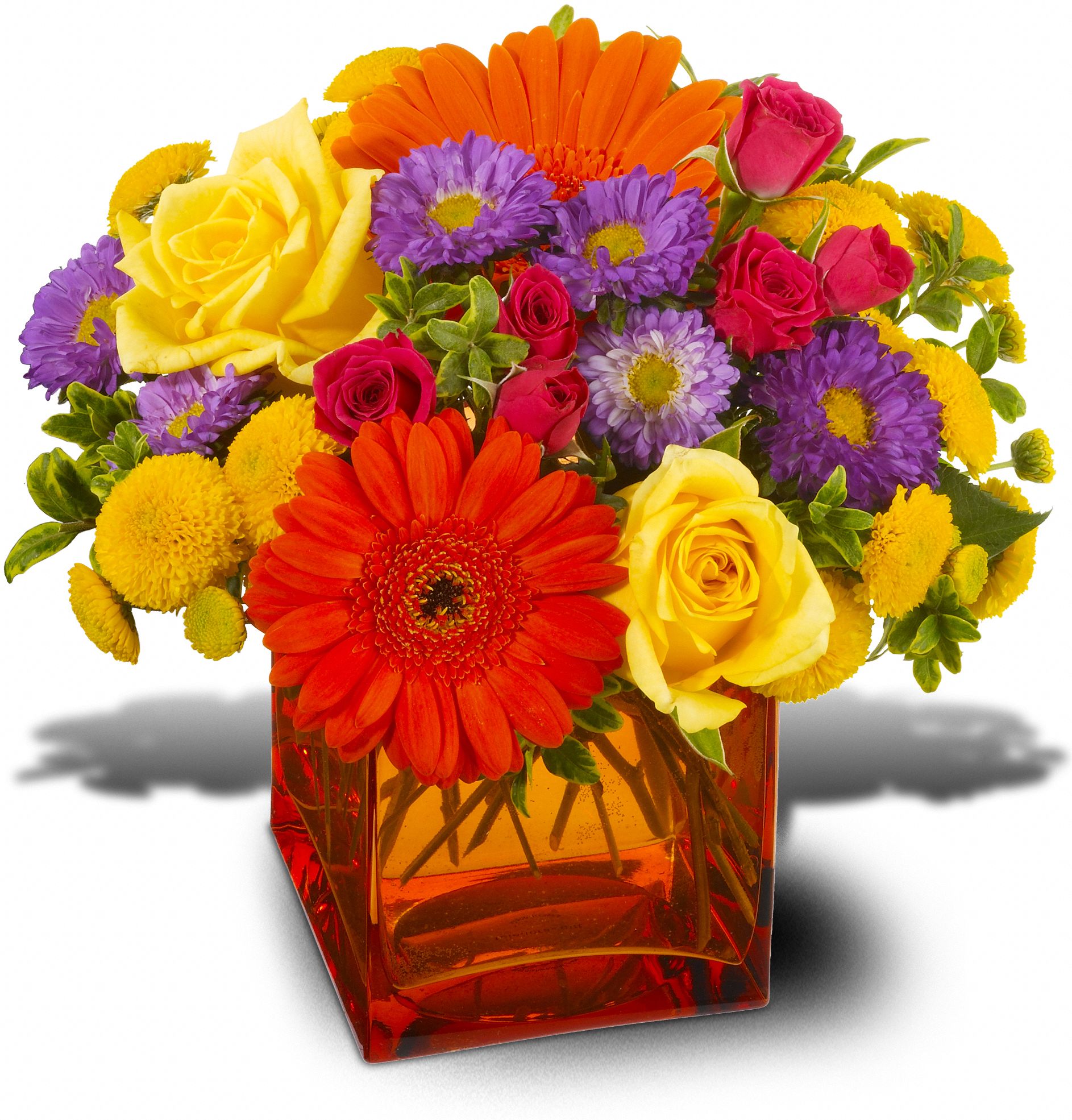 Teleflora's Another Year Bolder, picture