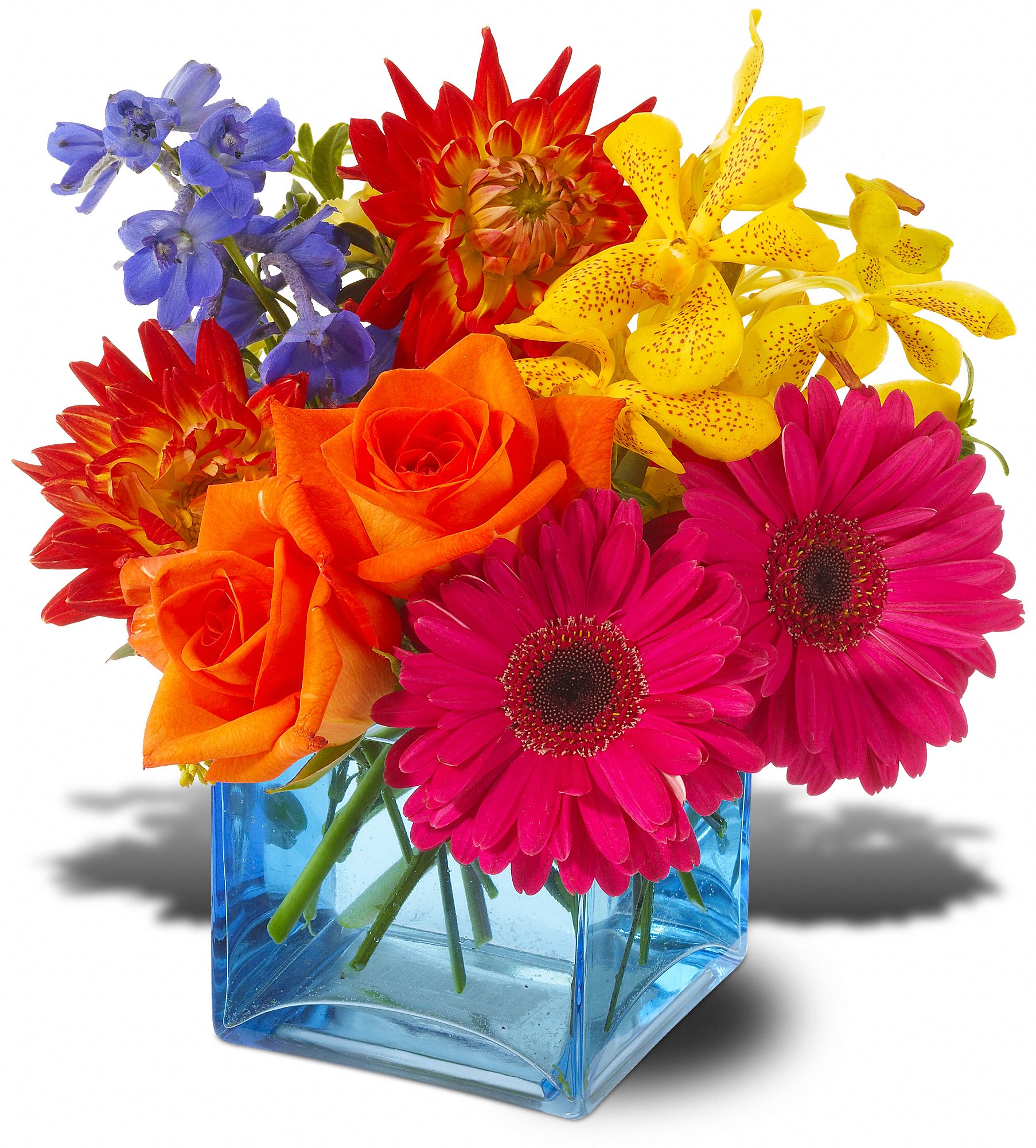 Flowers and More Design Studio