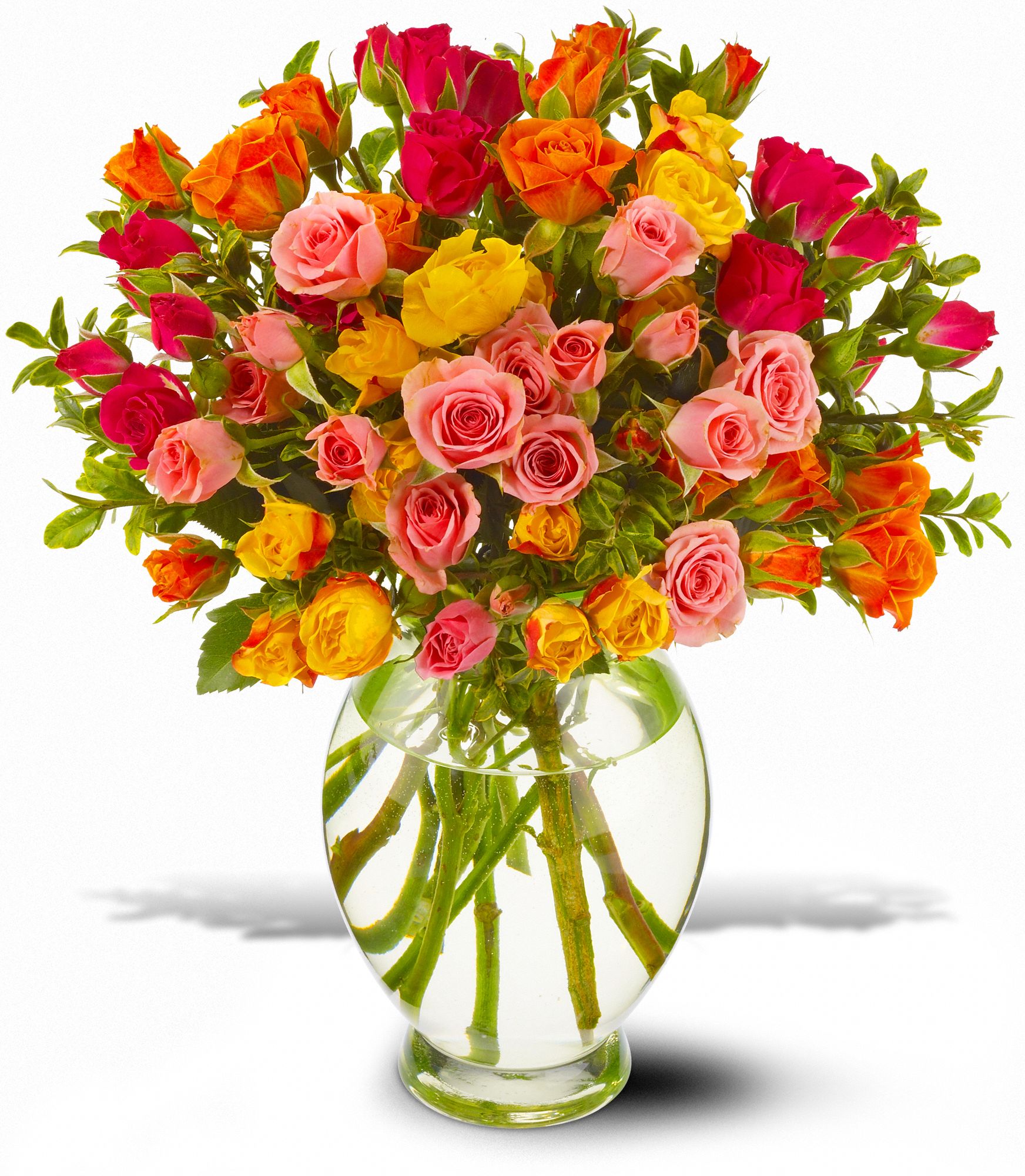 Teleflora's Starburst Splash, picture