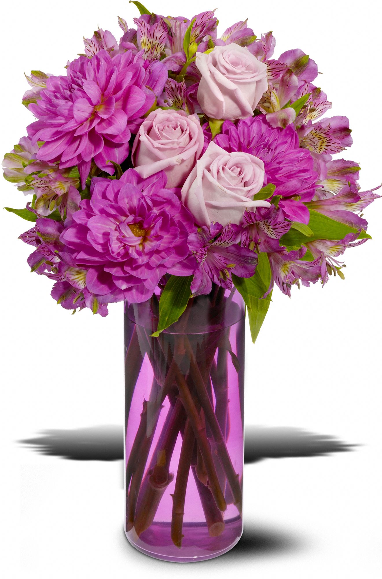 Moonlight Sonata in Decatur AL Mary Burke Florist