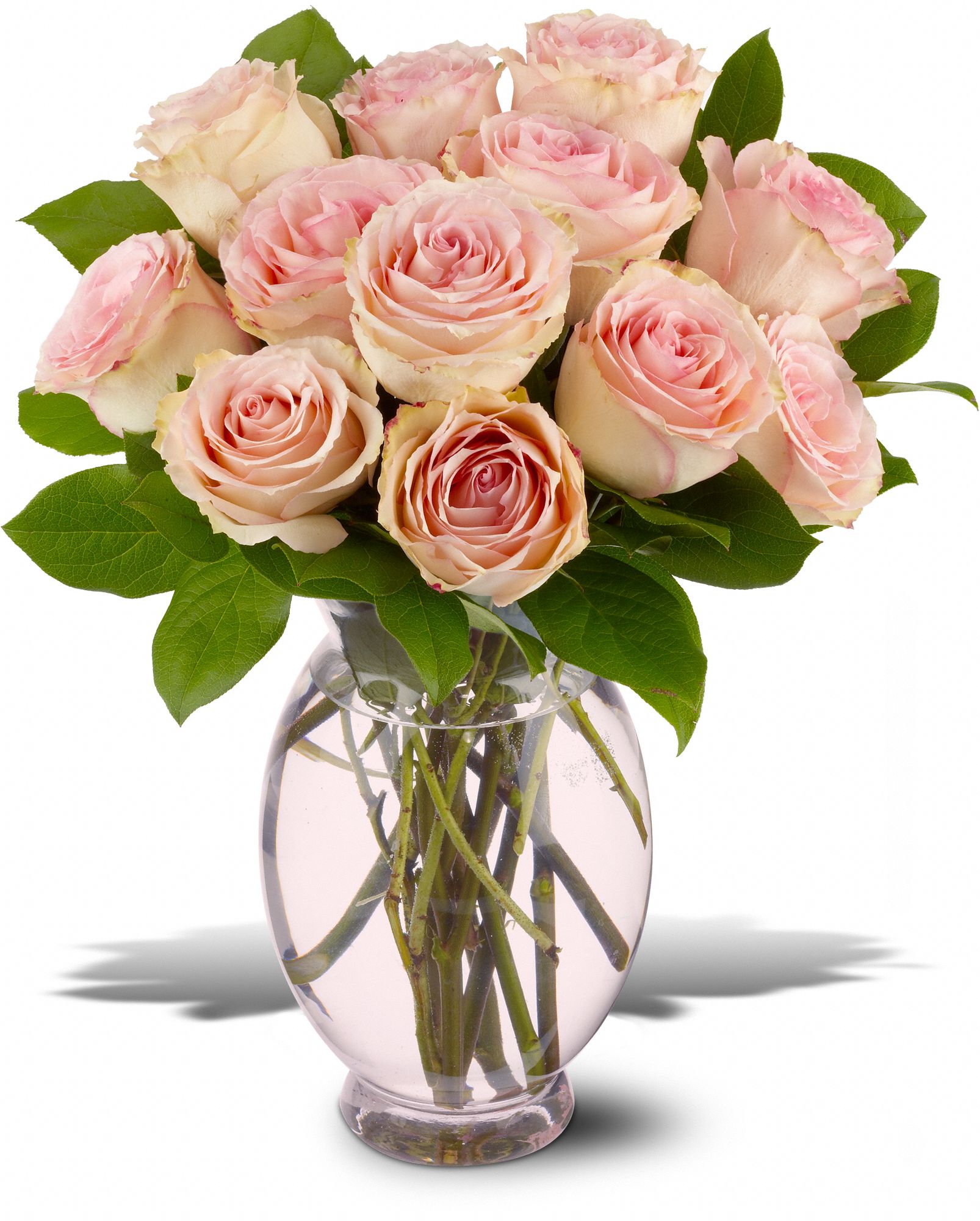 Teleflora's Delicate Dozen, picture