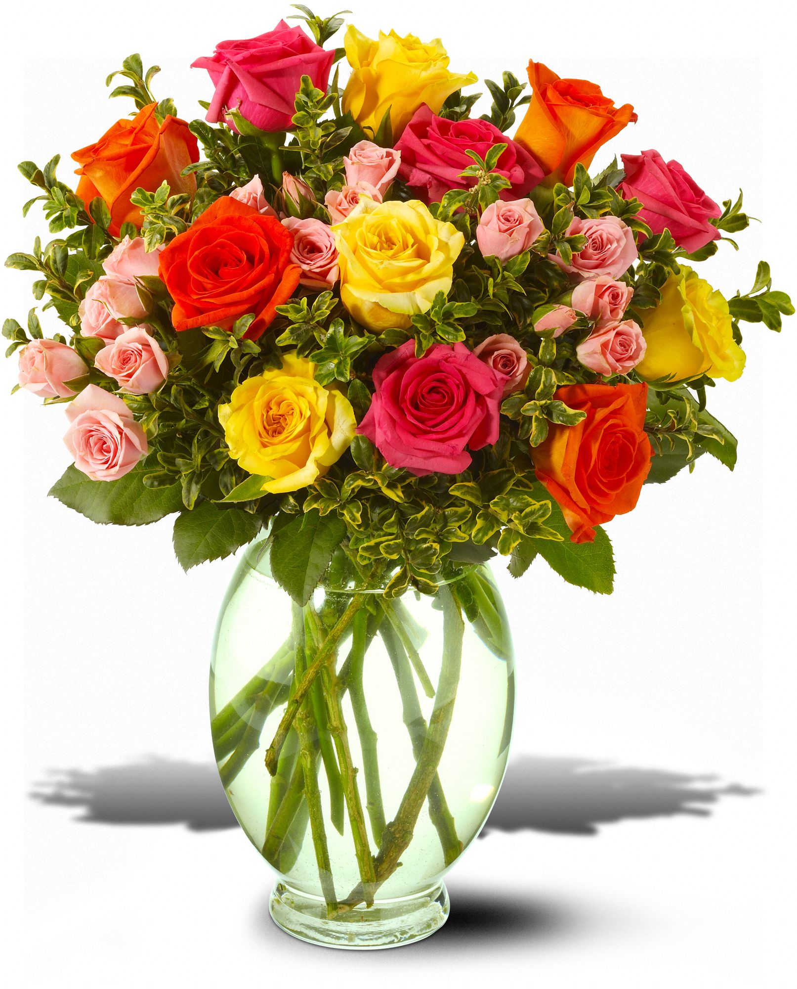Teleflora's Summertime Roses, picture