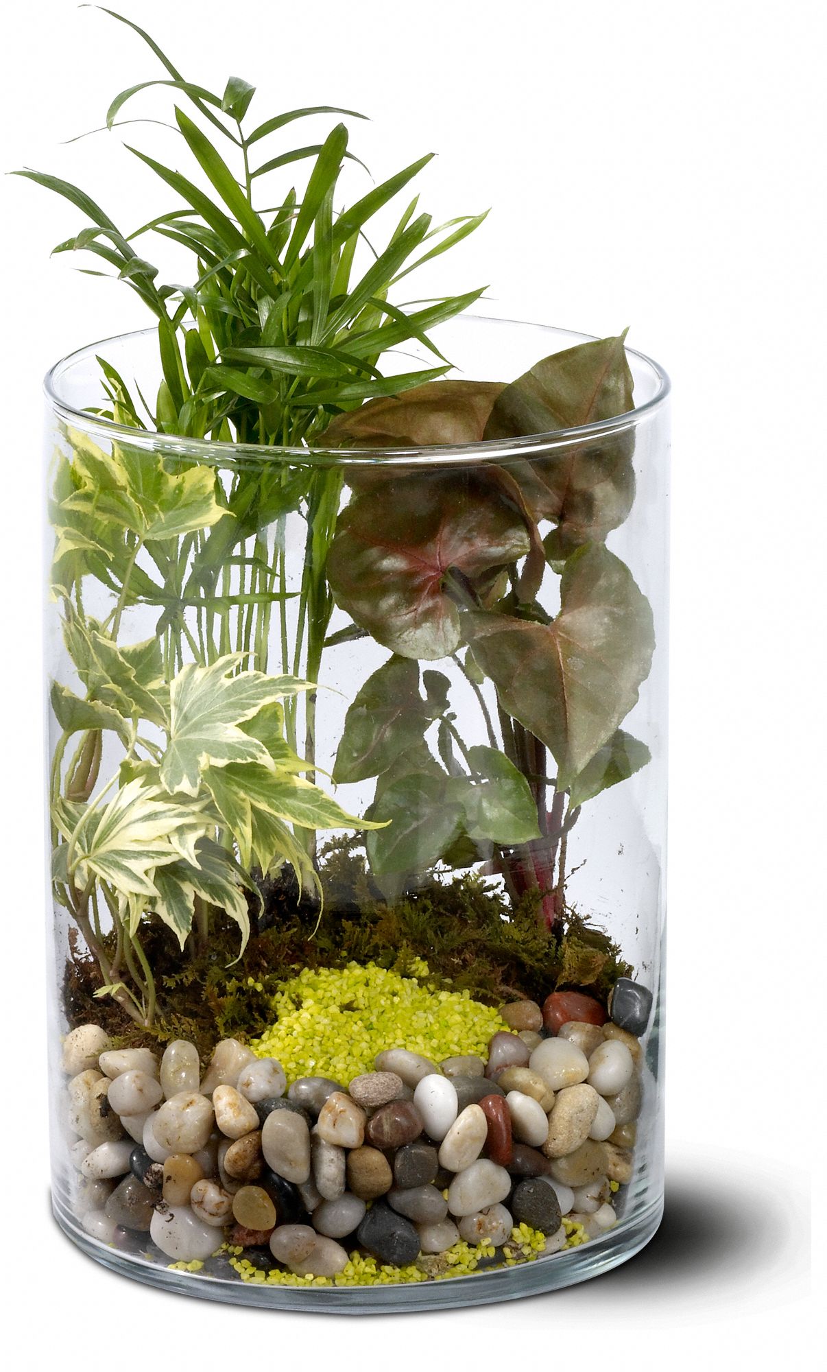 Garden in Glass