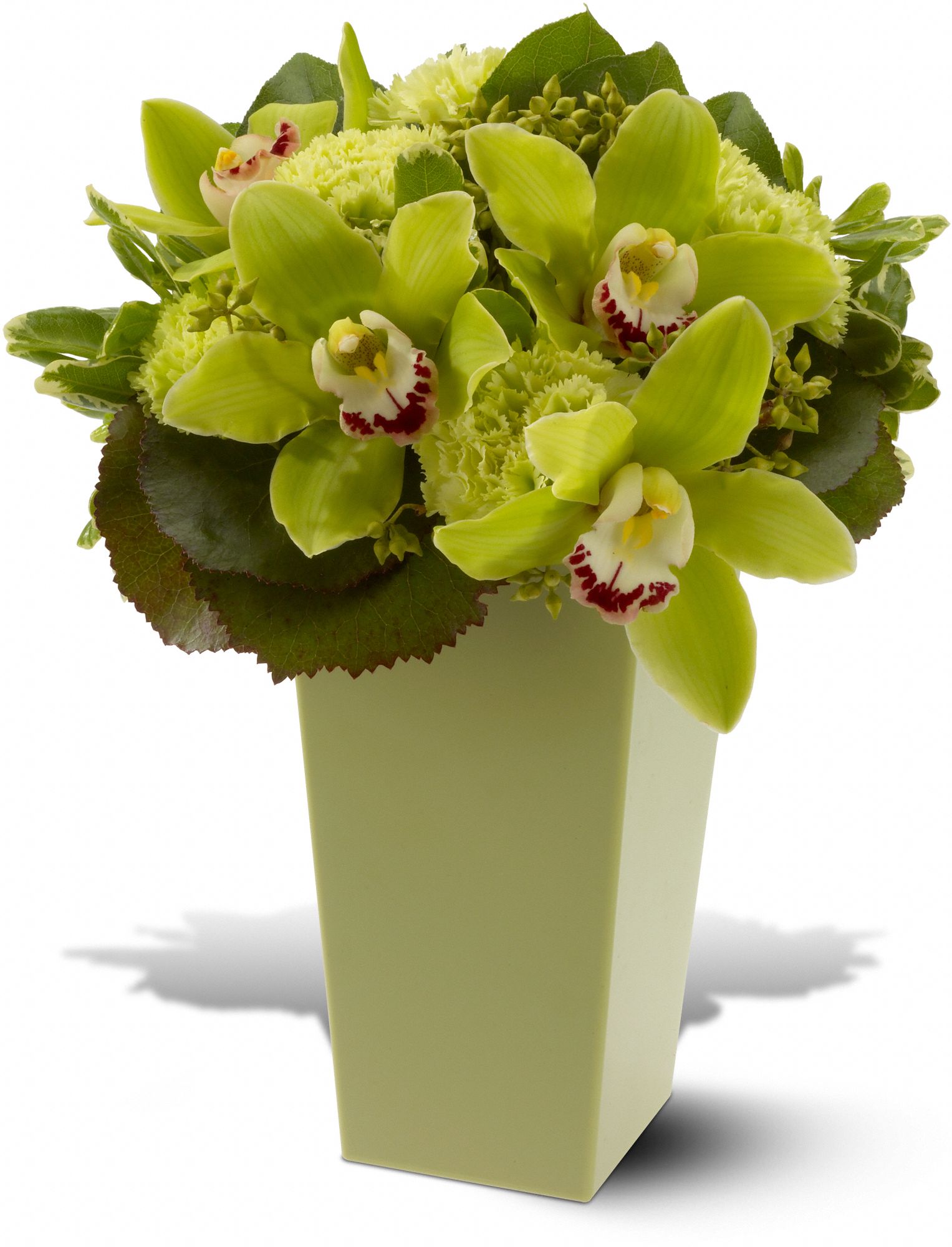 Green with Envy graphic
