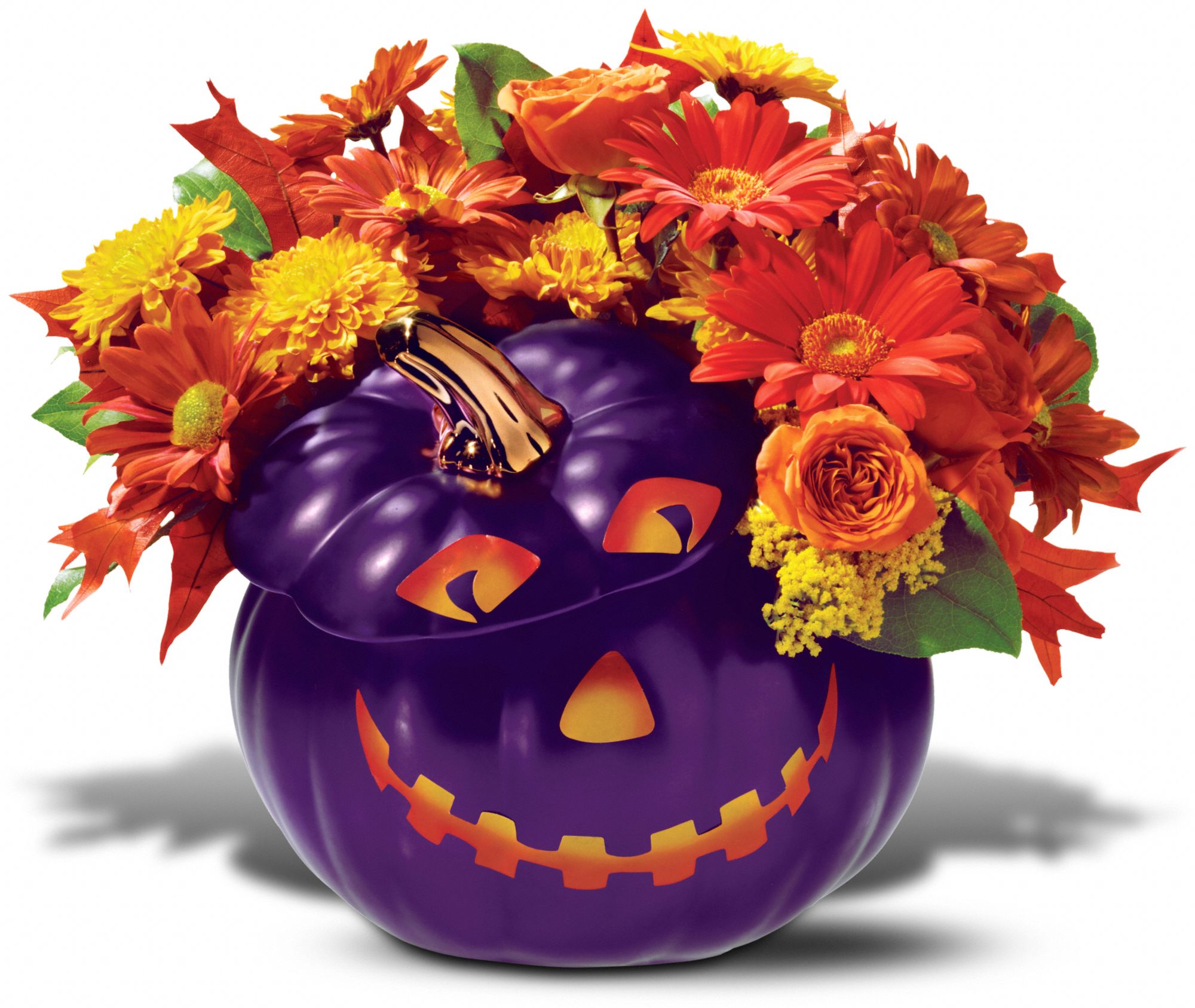 Teleflora's Purple Pumpkin Bouquet in Middletown&nbsp;NY, New Vernon Florist, Inc.