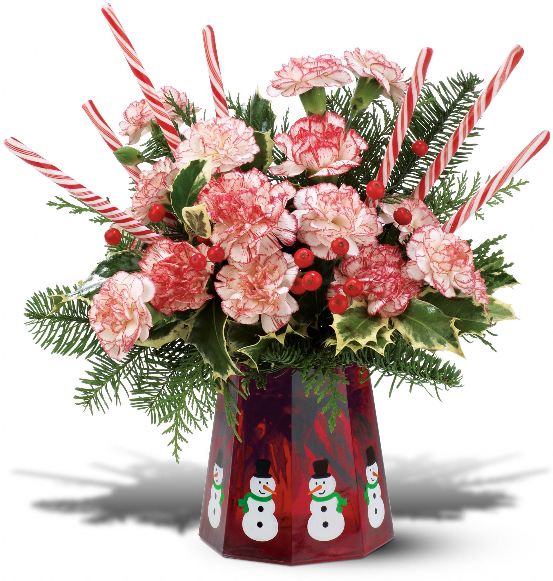 Teleflora's Let It Snowman in Albany NY Central Florist