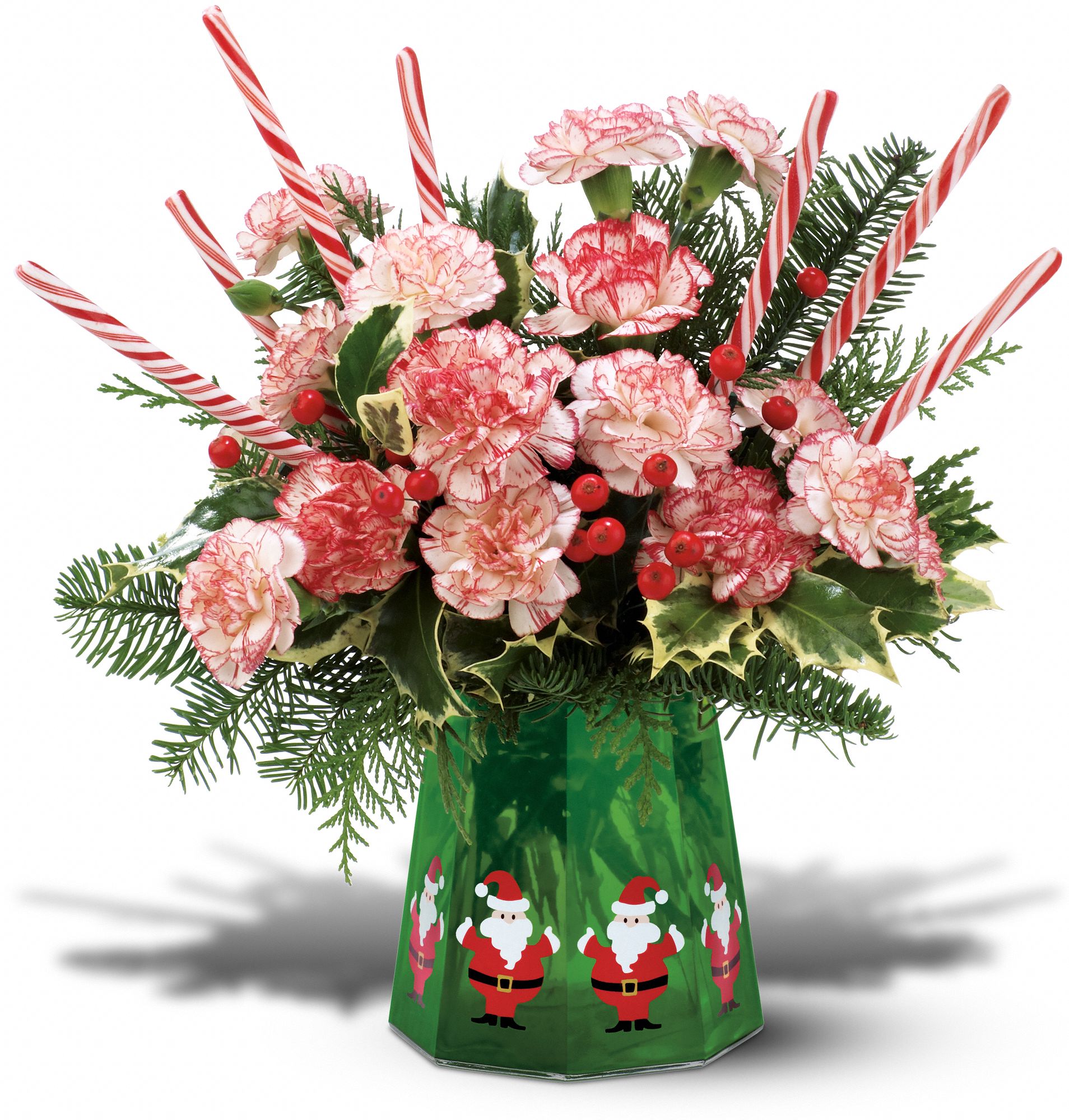 Teleflora's Sweet Santa Bouquet in Riverside&nbsp;IL, Pink Carnation
