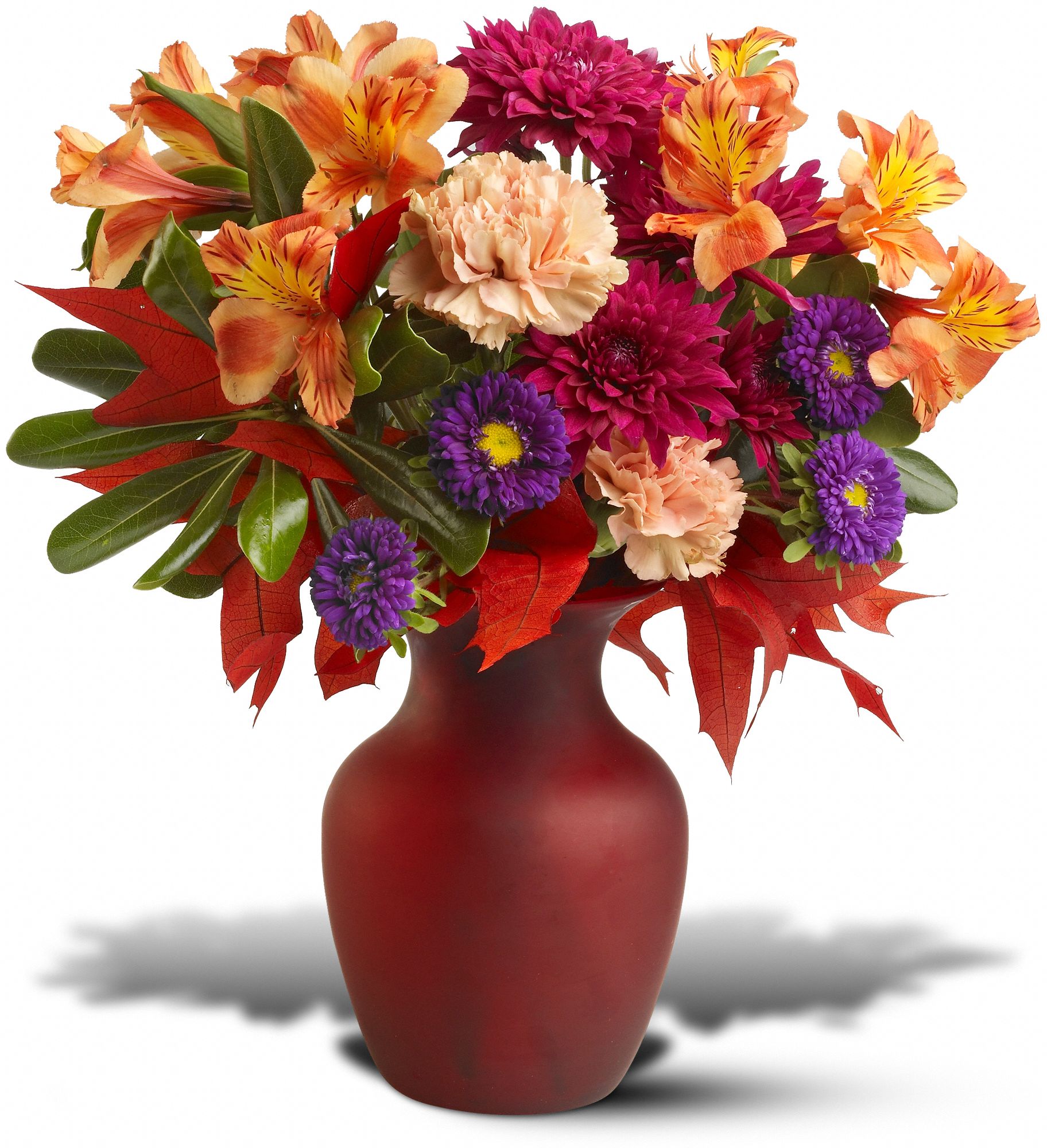 Leaves of Autumn Flowers