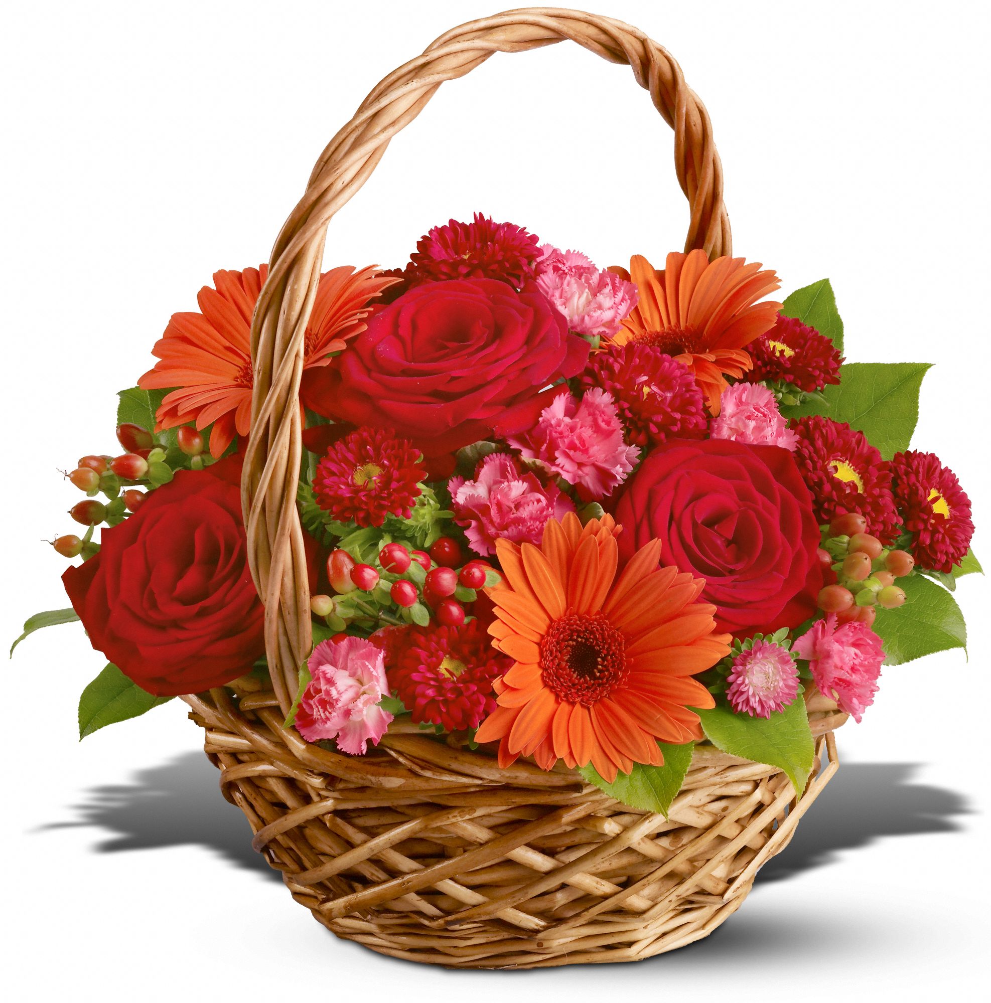 Warm Wishes, picture