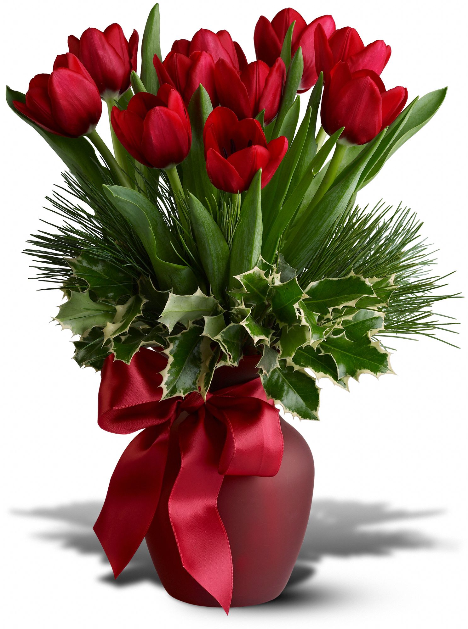 Tulip Tidings Flowers