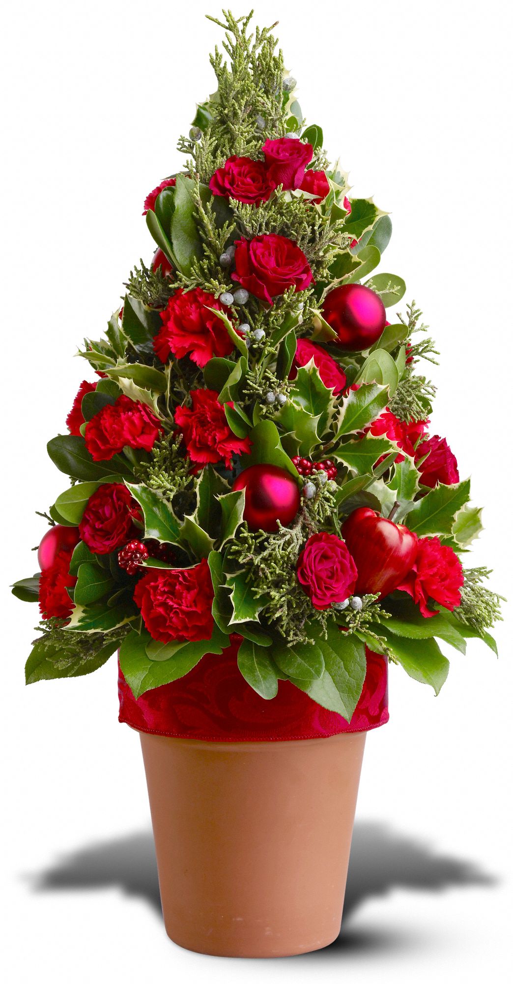 O Tannenbaum