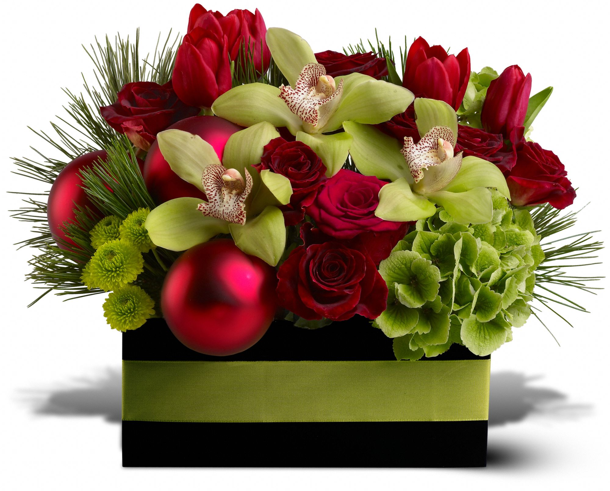 Holiday Chic, picture