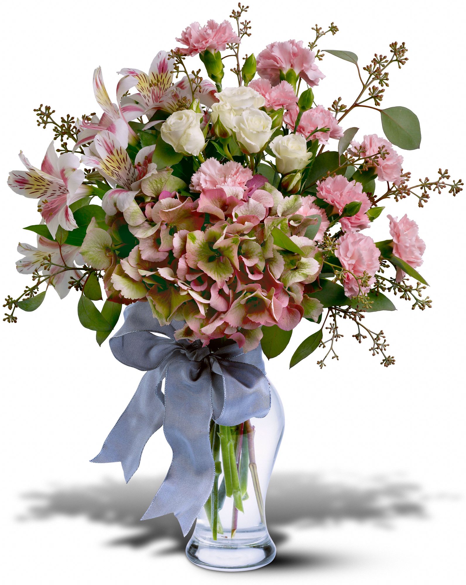 Cashmere in Alexandria&nbsp;VA, Bloom Fresh Flowers