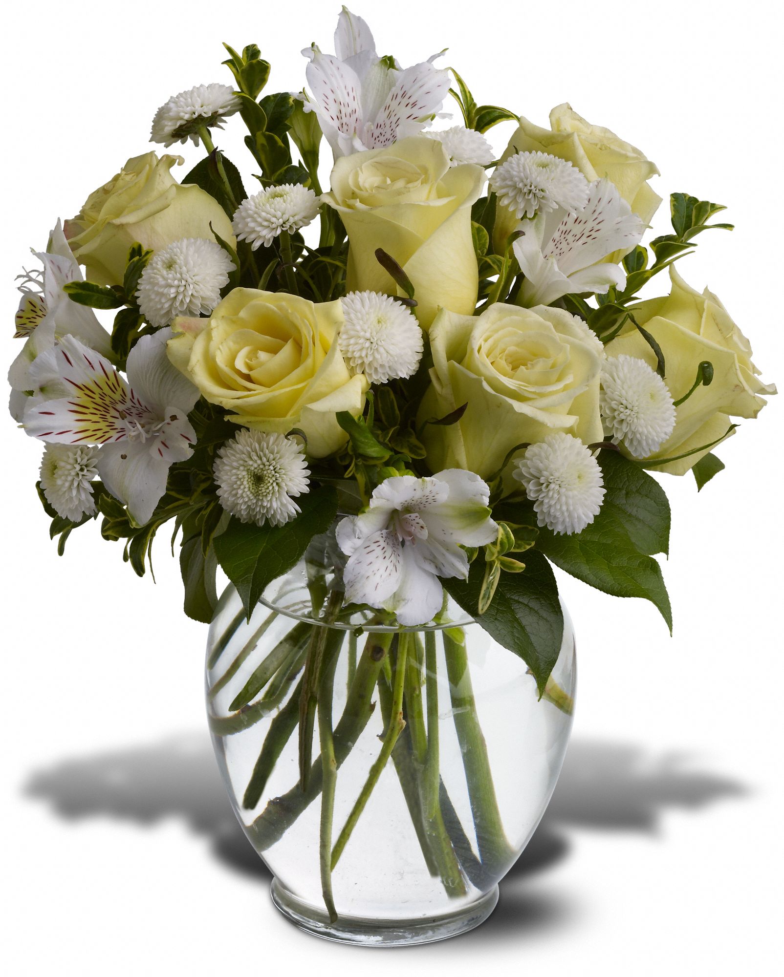 Precious Petals, picture