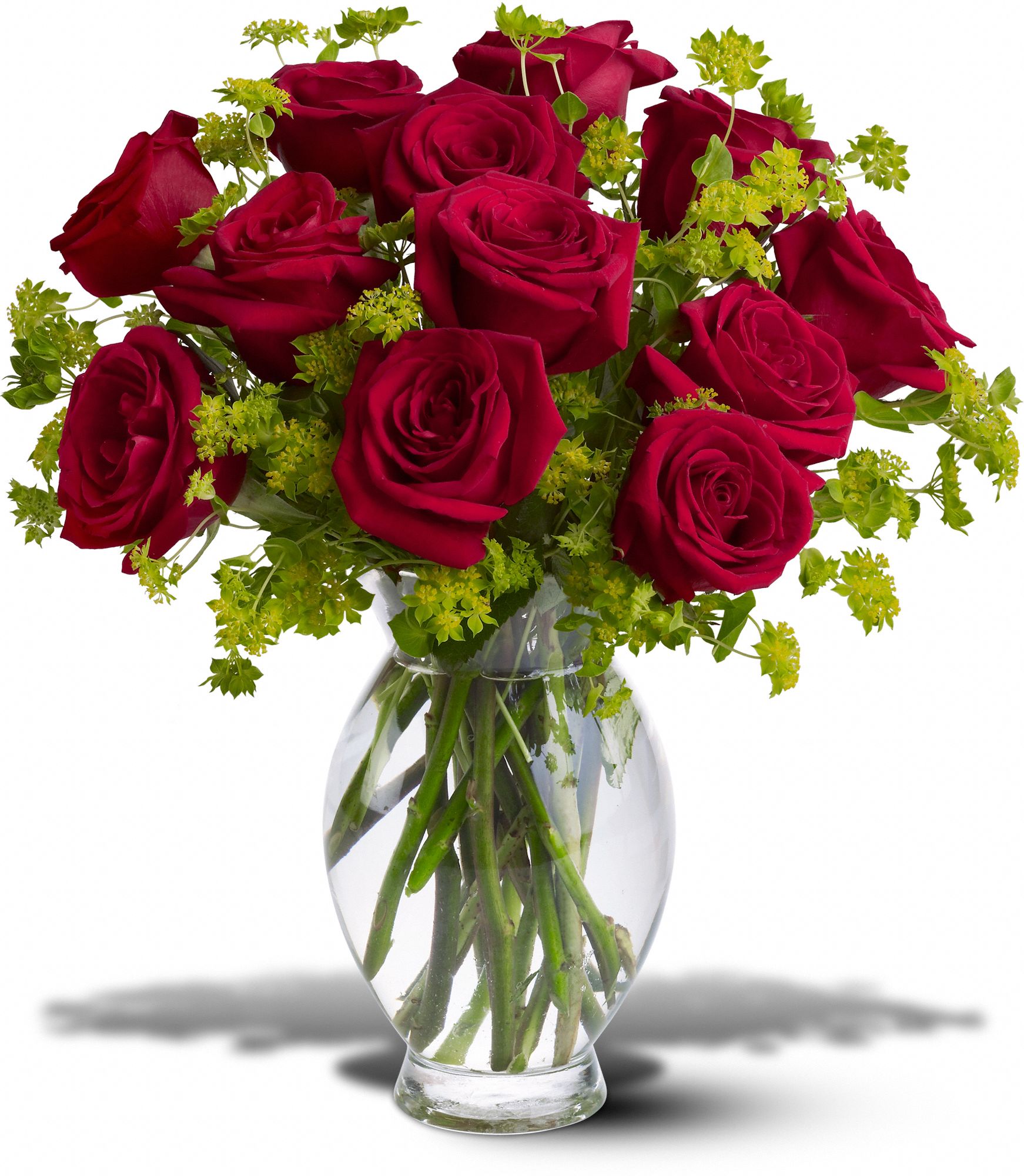 Teleflora's Dozen Sweet Roses, picture