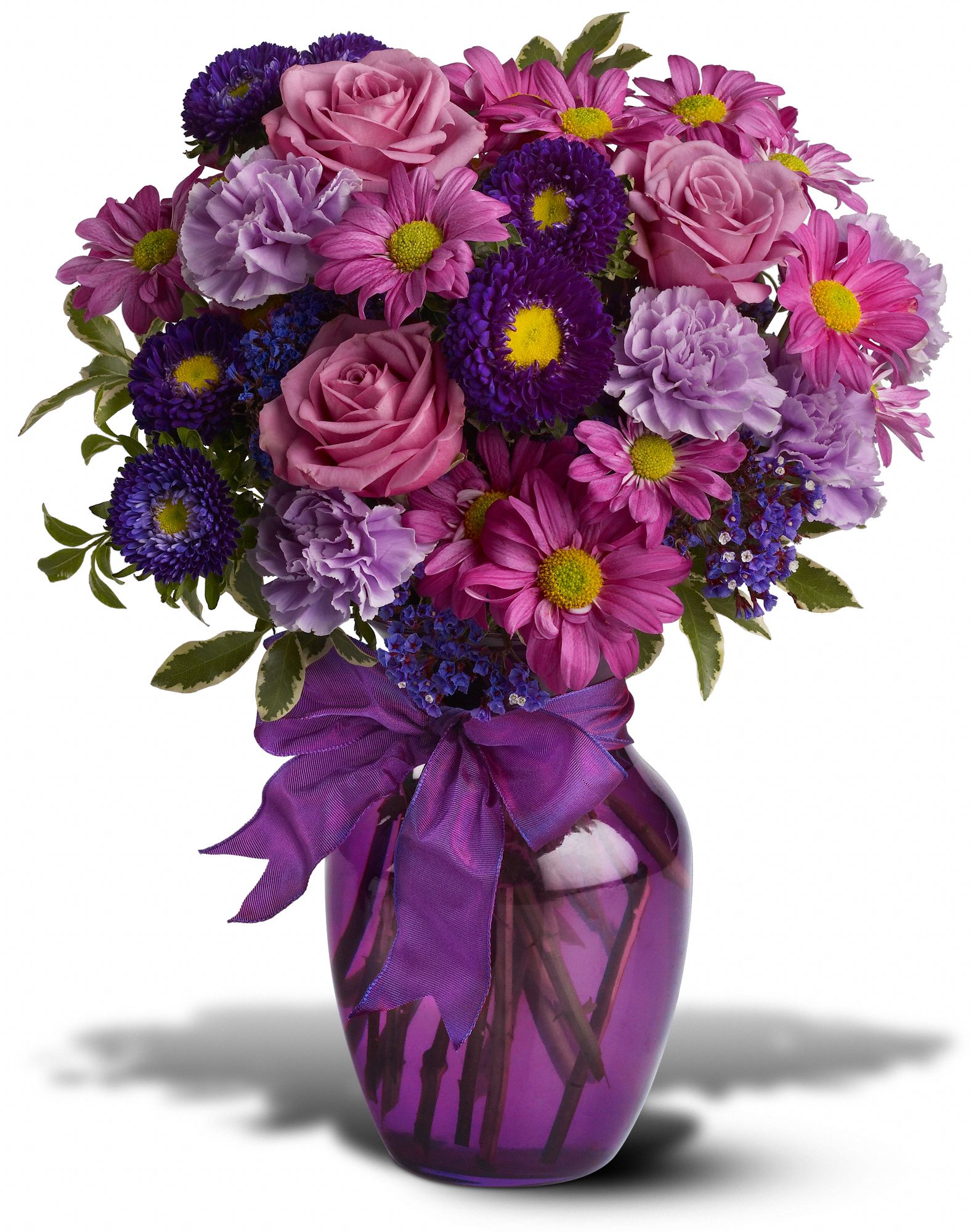 Everlasting Lavender graphic