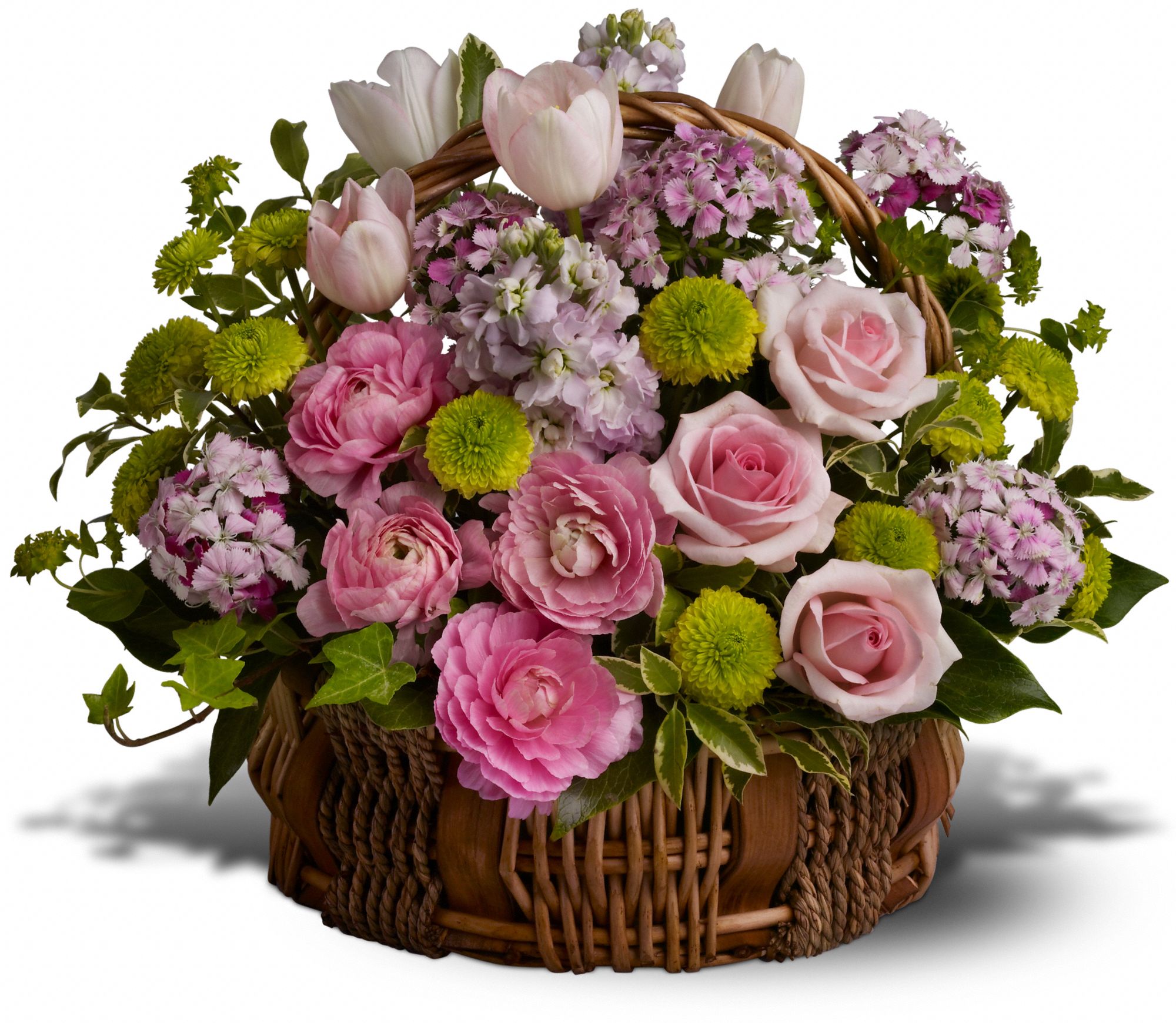 Bella Blooms, picture