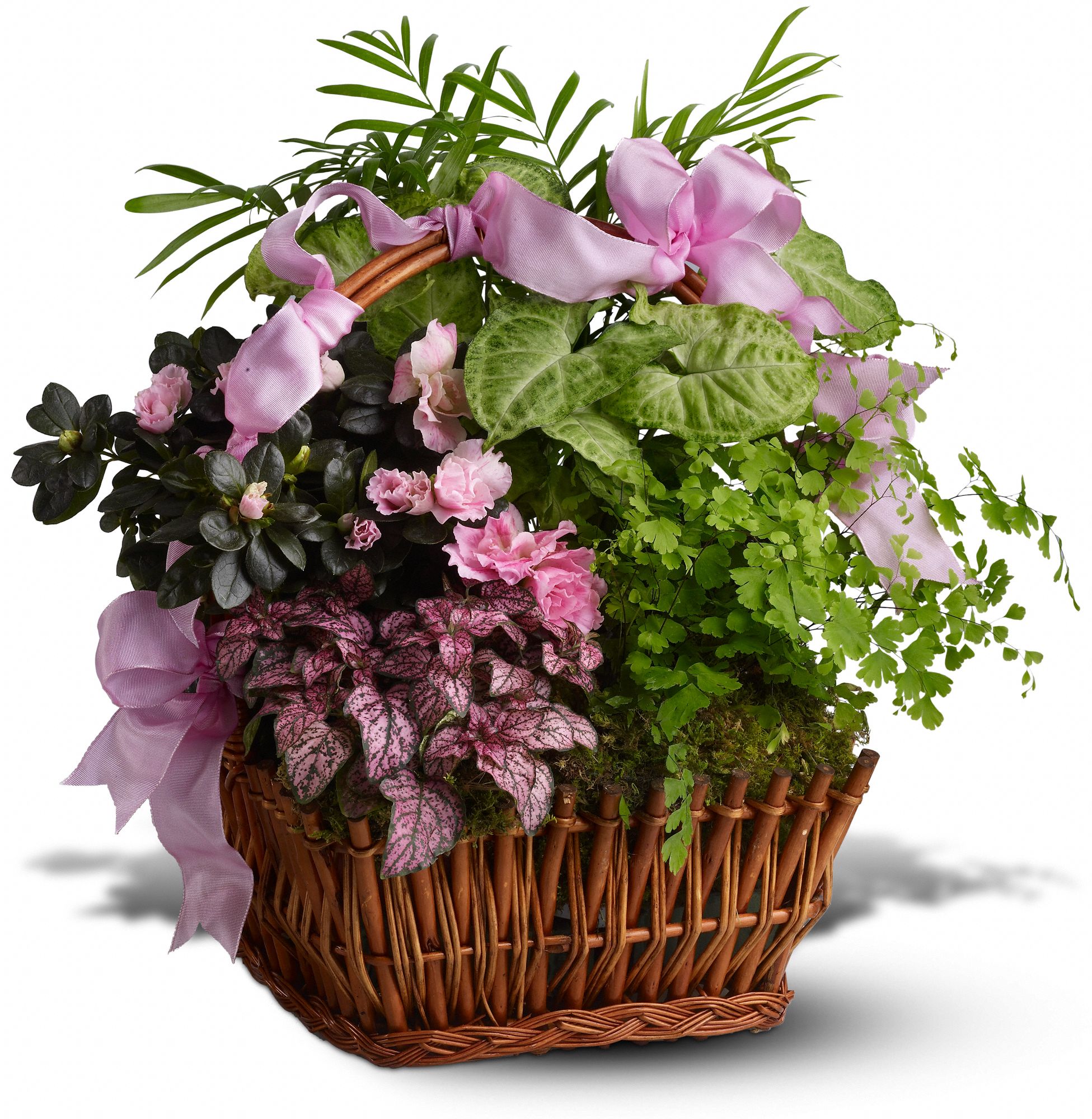 Nature's Garden, picture