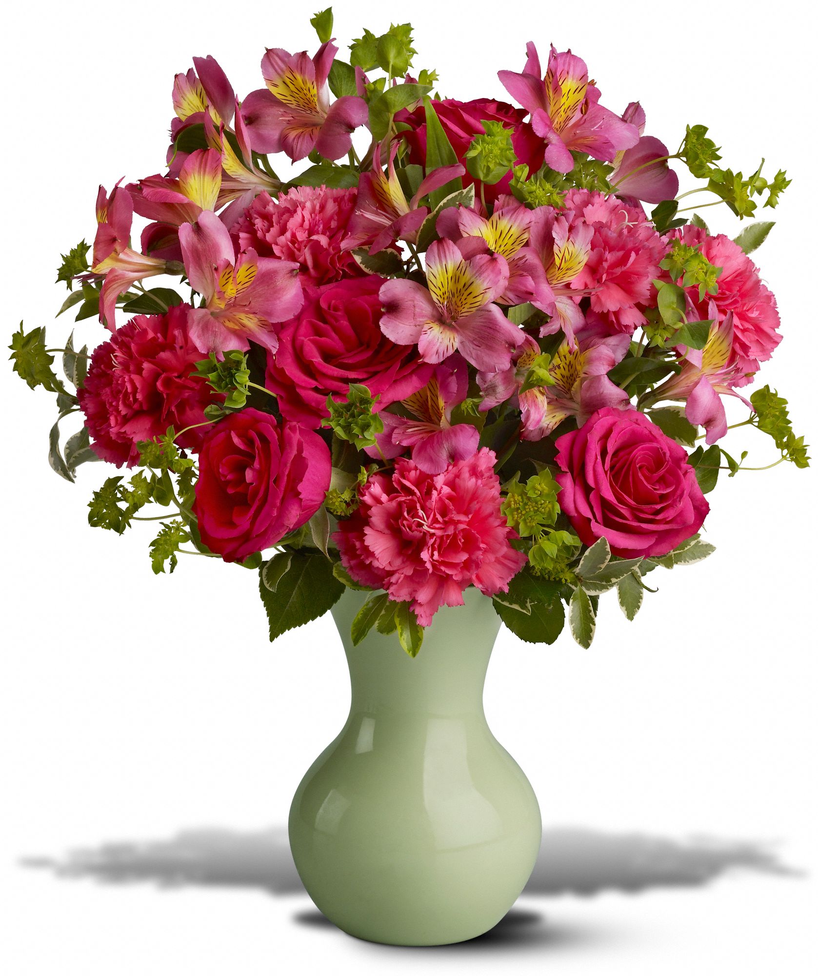 Posy Paradise, picture