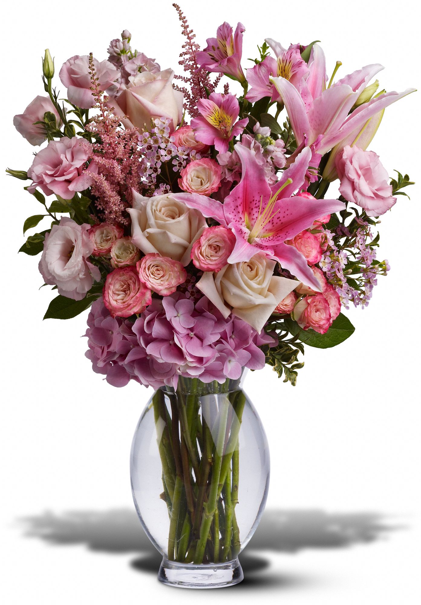 Teleflora's Pink Sonata, picture