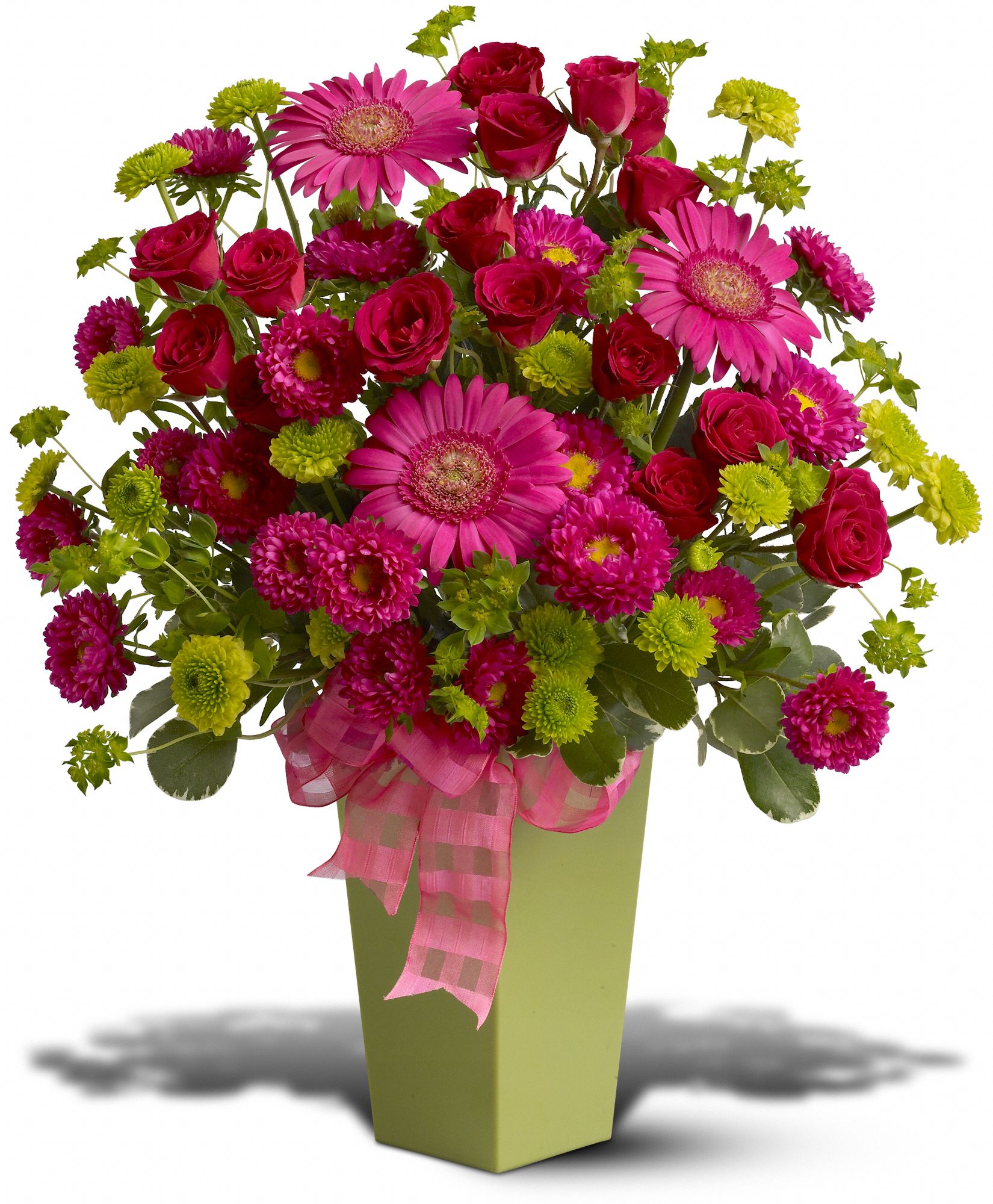 Pink Twist, picture