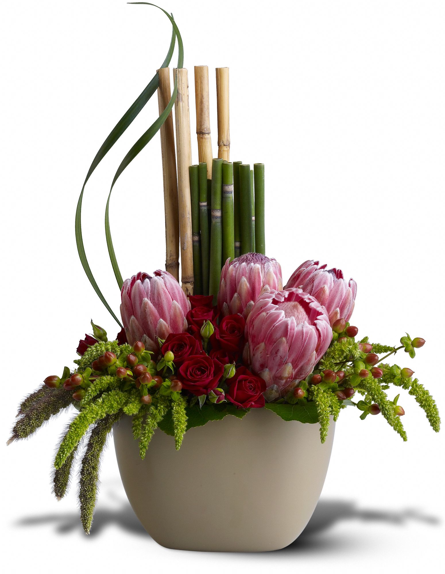 Zen Protea