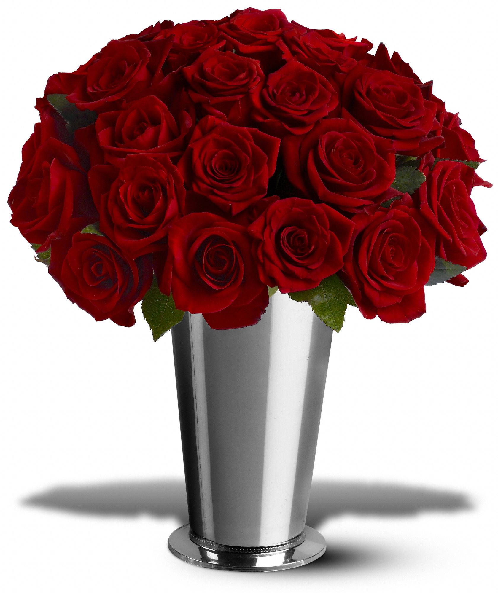 24 Classic Roses