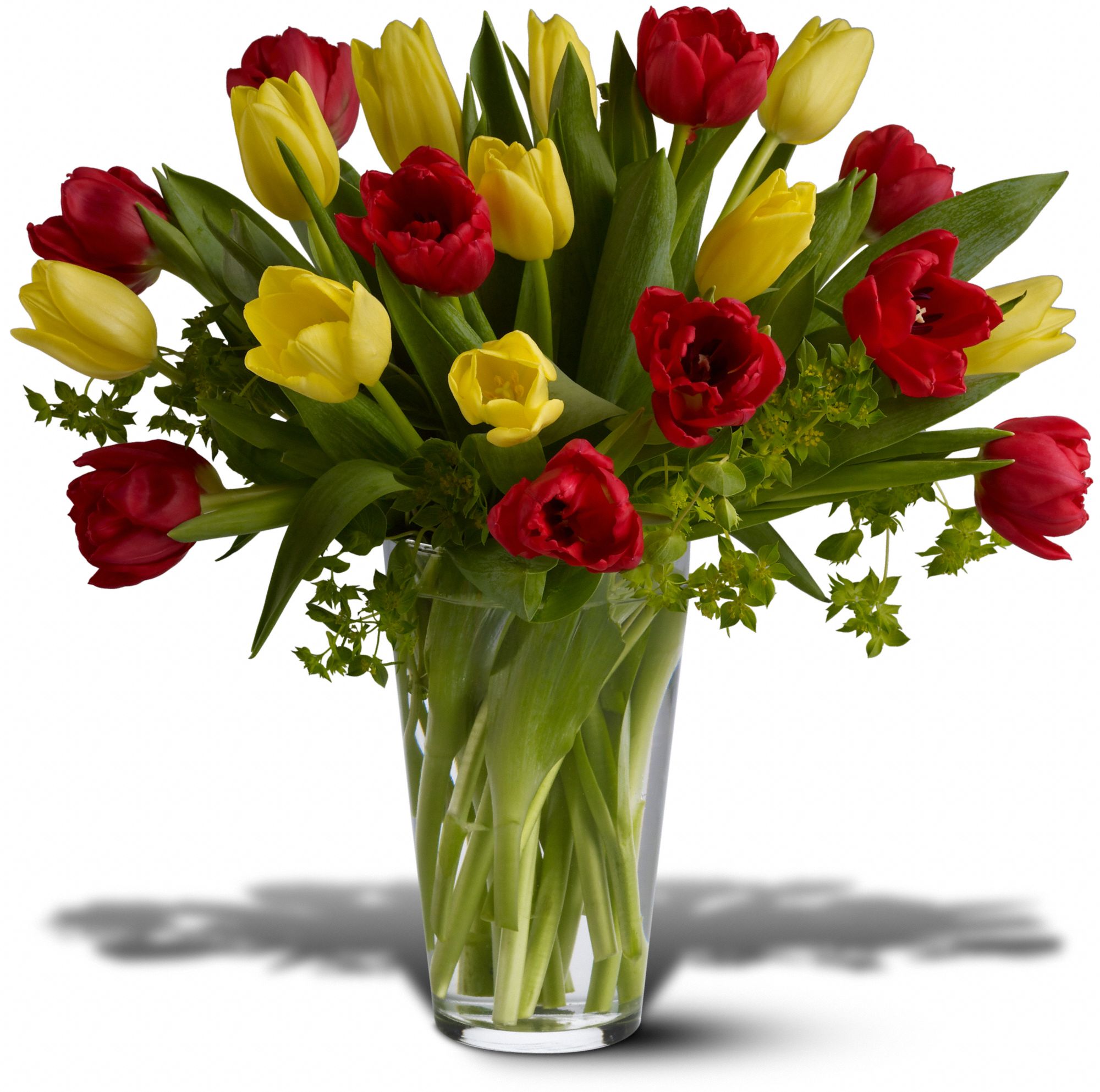 Dutch Delight in Macon&nbsp;GA, Lawrence Mayer Florist